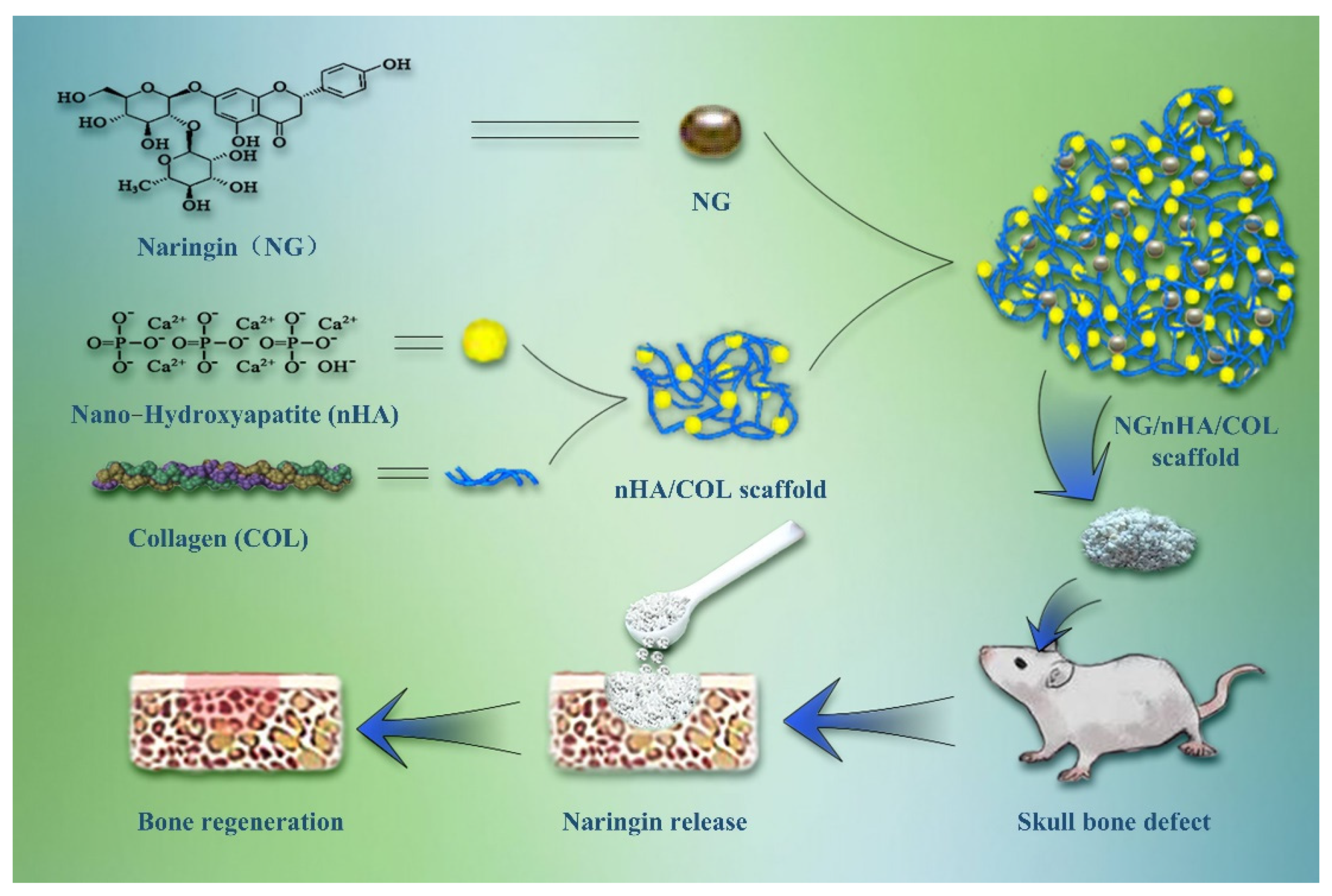 Polymers 14 03260 g001 Polymers 14 03260 g001