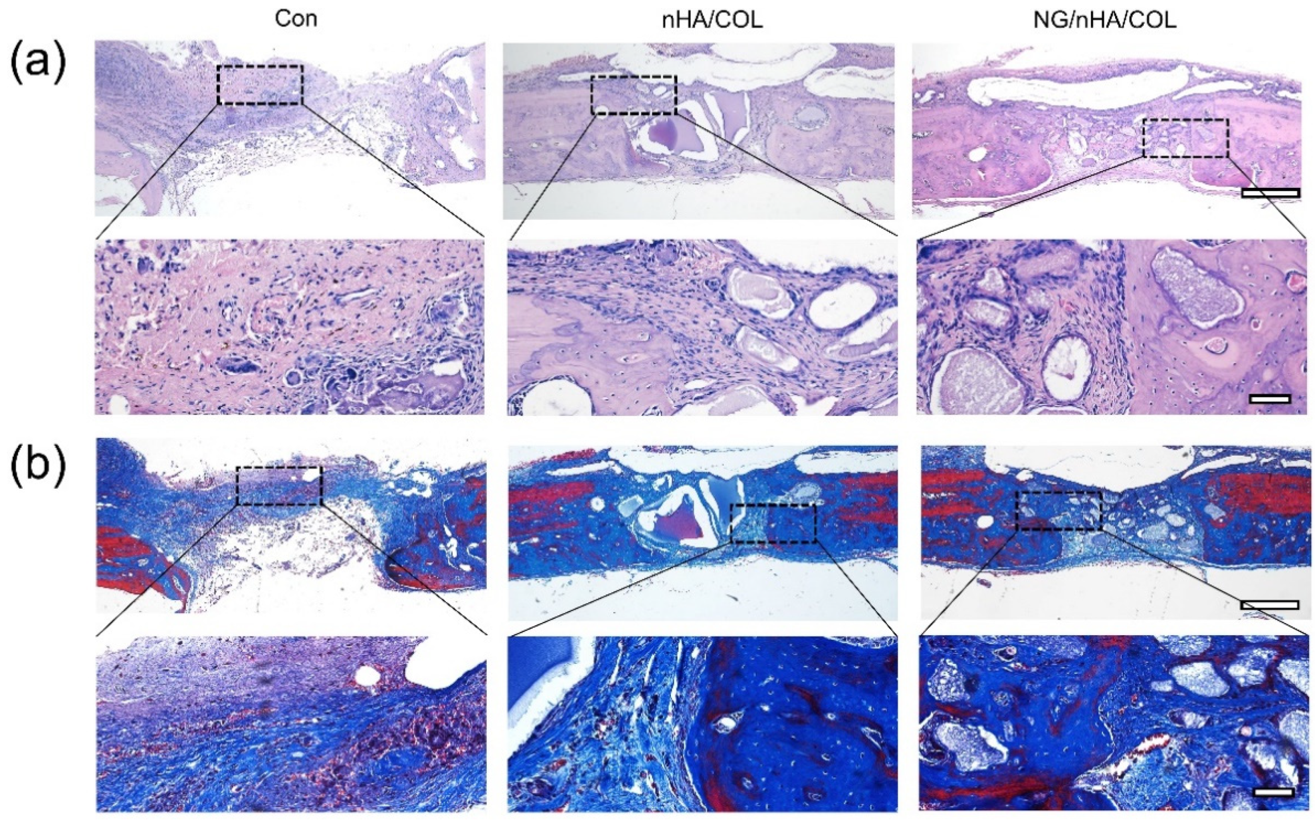 Polymers 14 03260 g007 Polymers 14 03260 g007