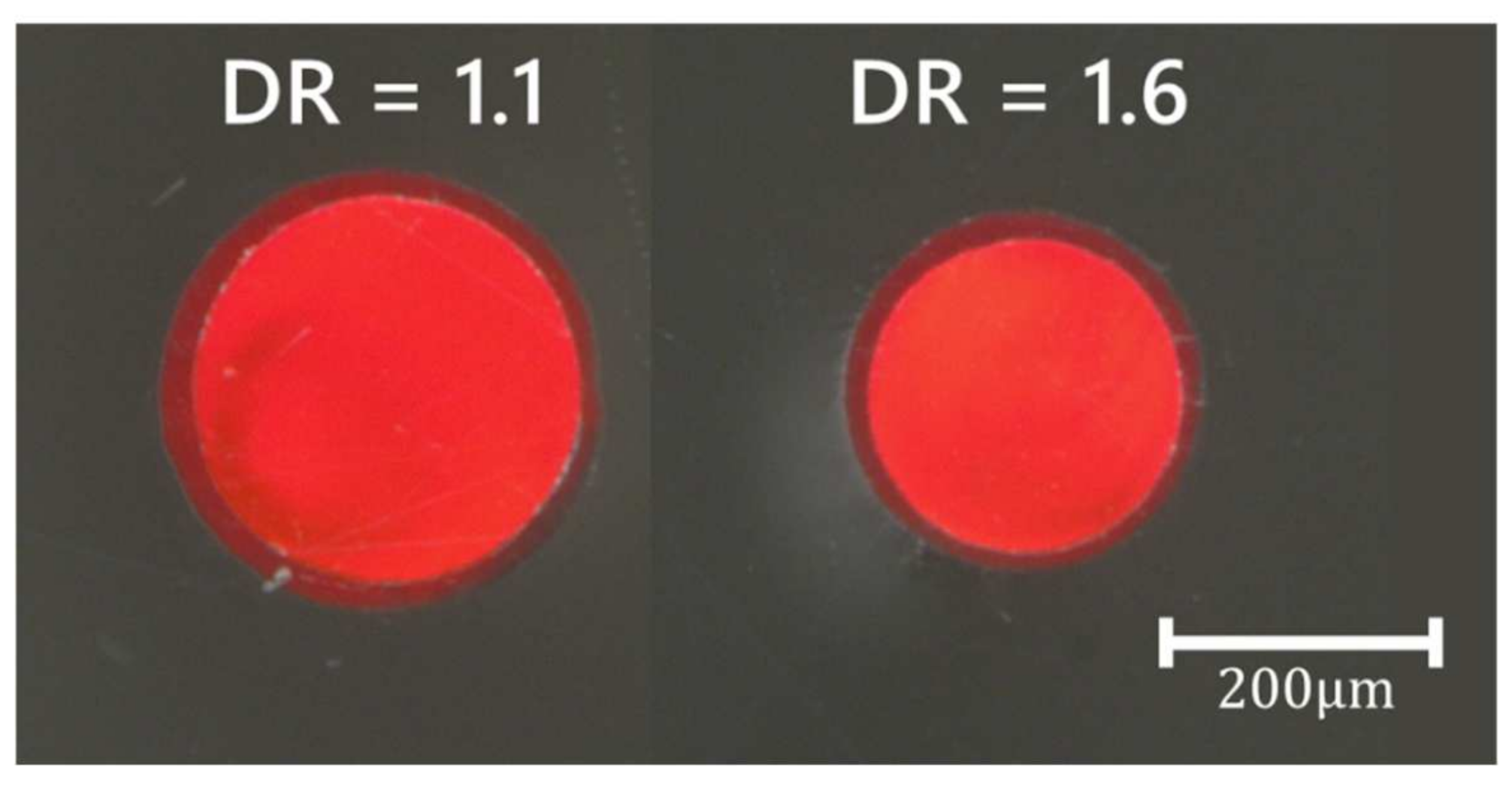 Polymers 14 03262 g004