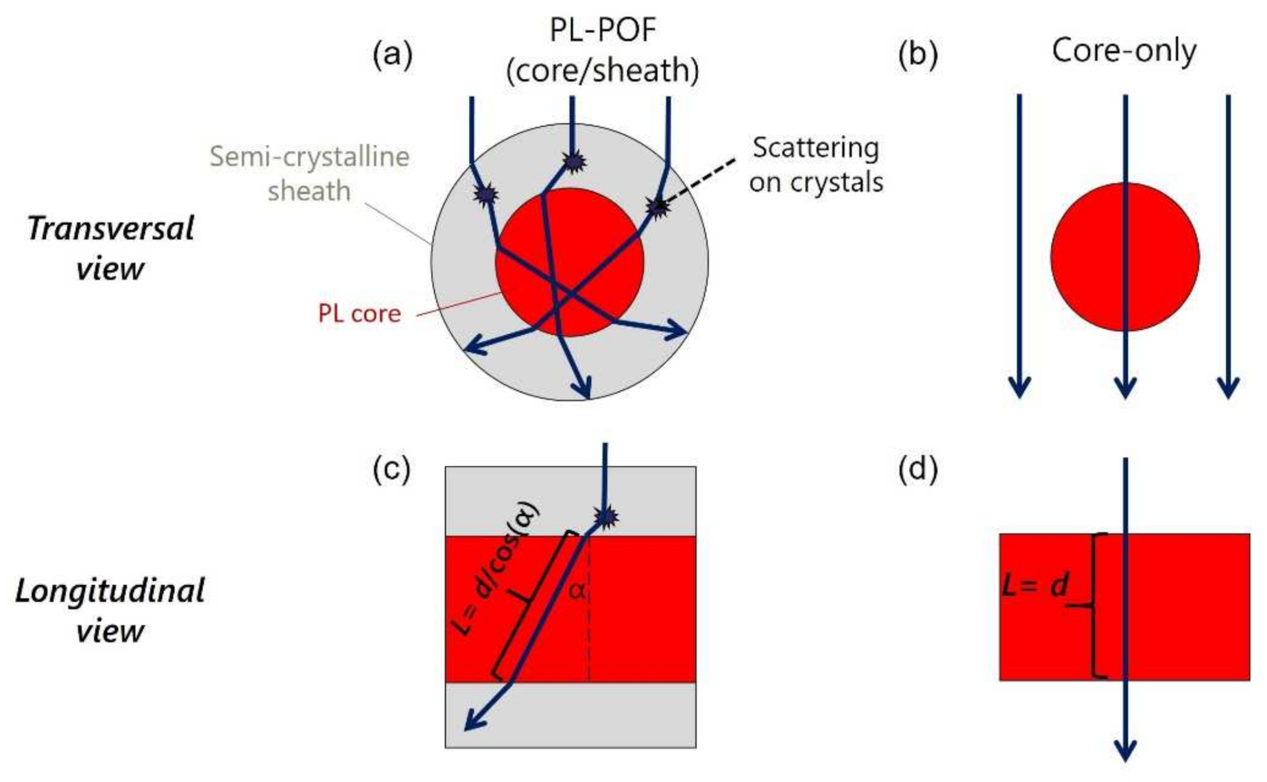 Polymers 14 03262 g006