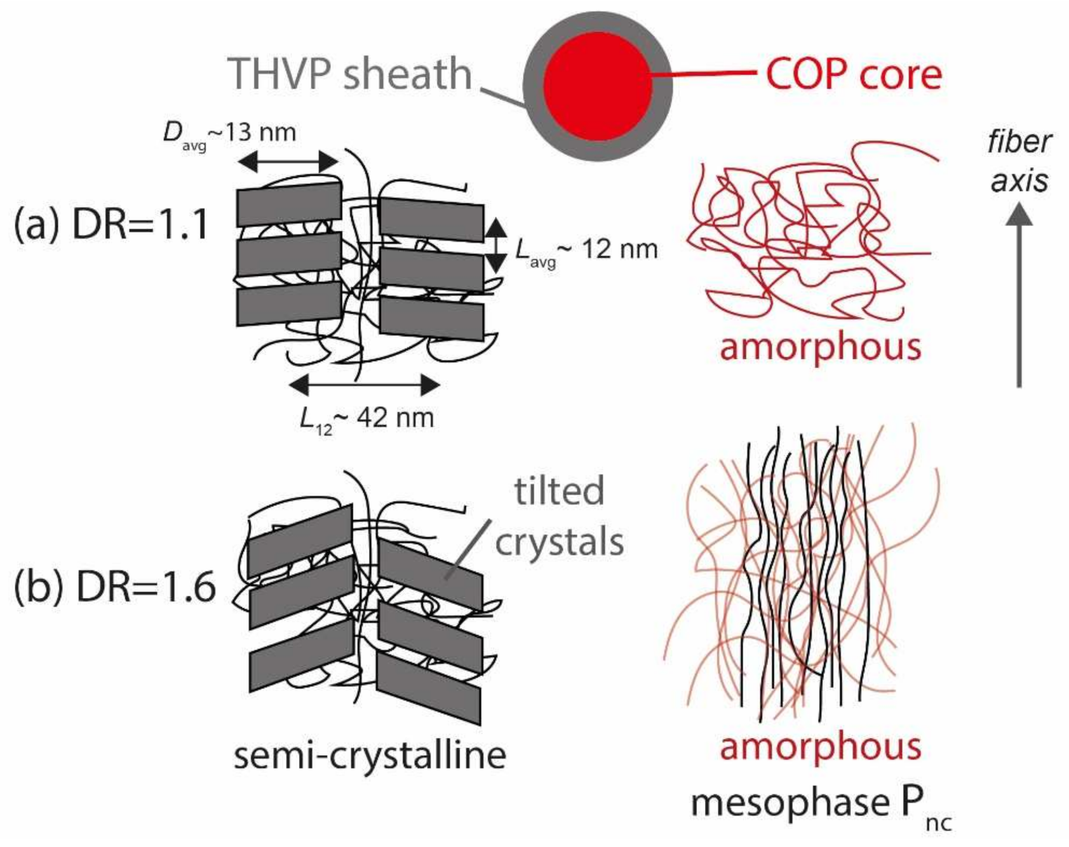 Polymers 14 03262 g009