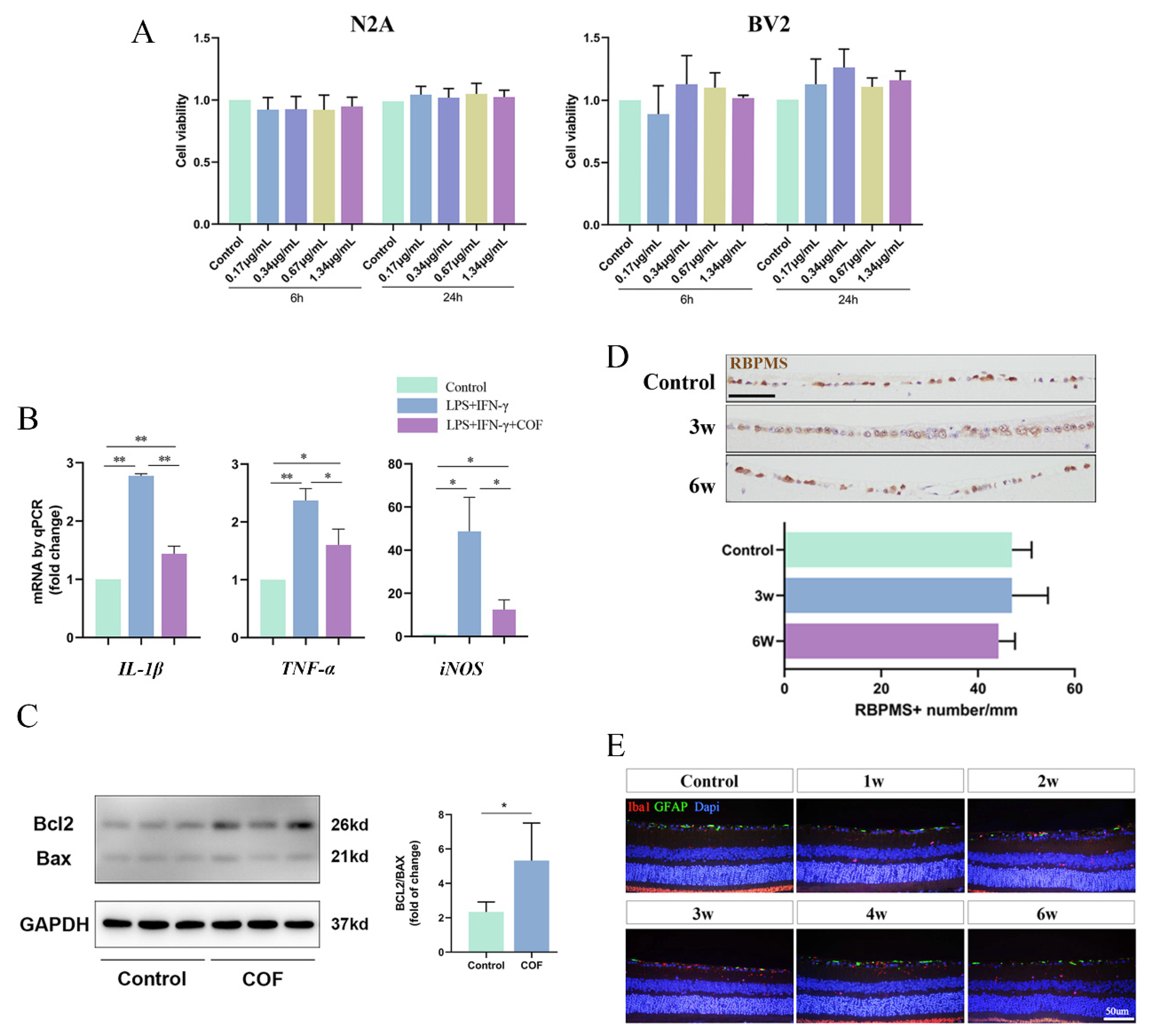 Polymers 14 03265 g002