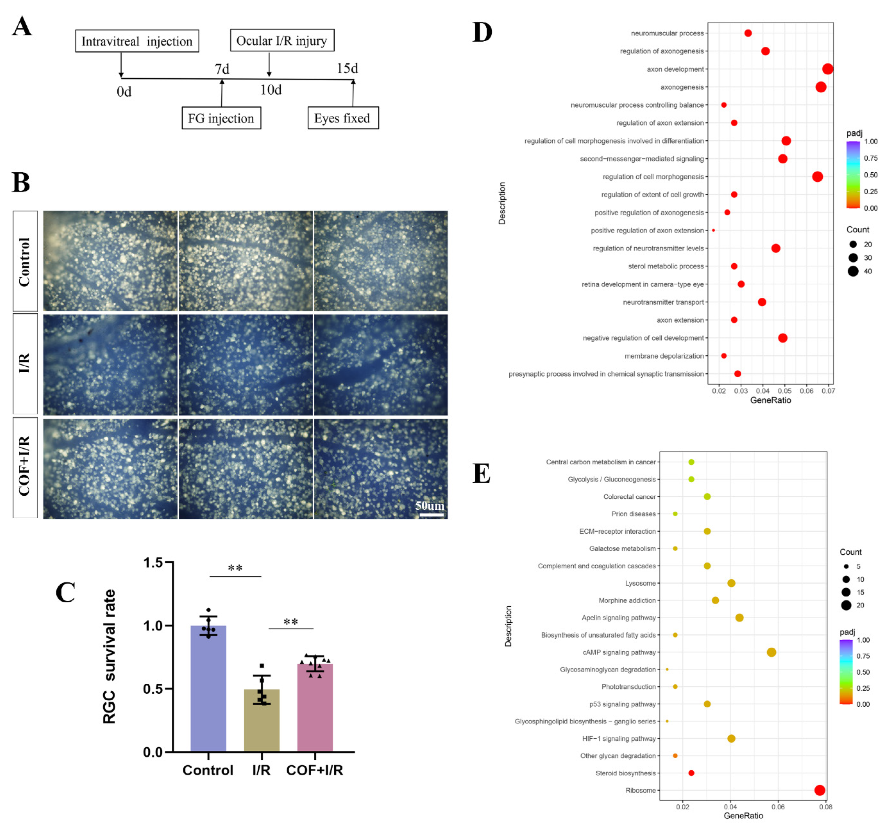 Polymers 14 03265 g003