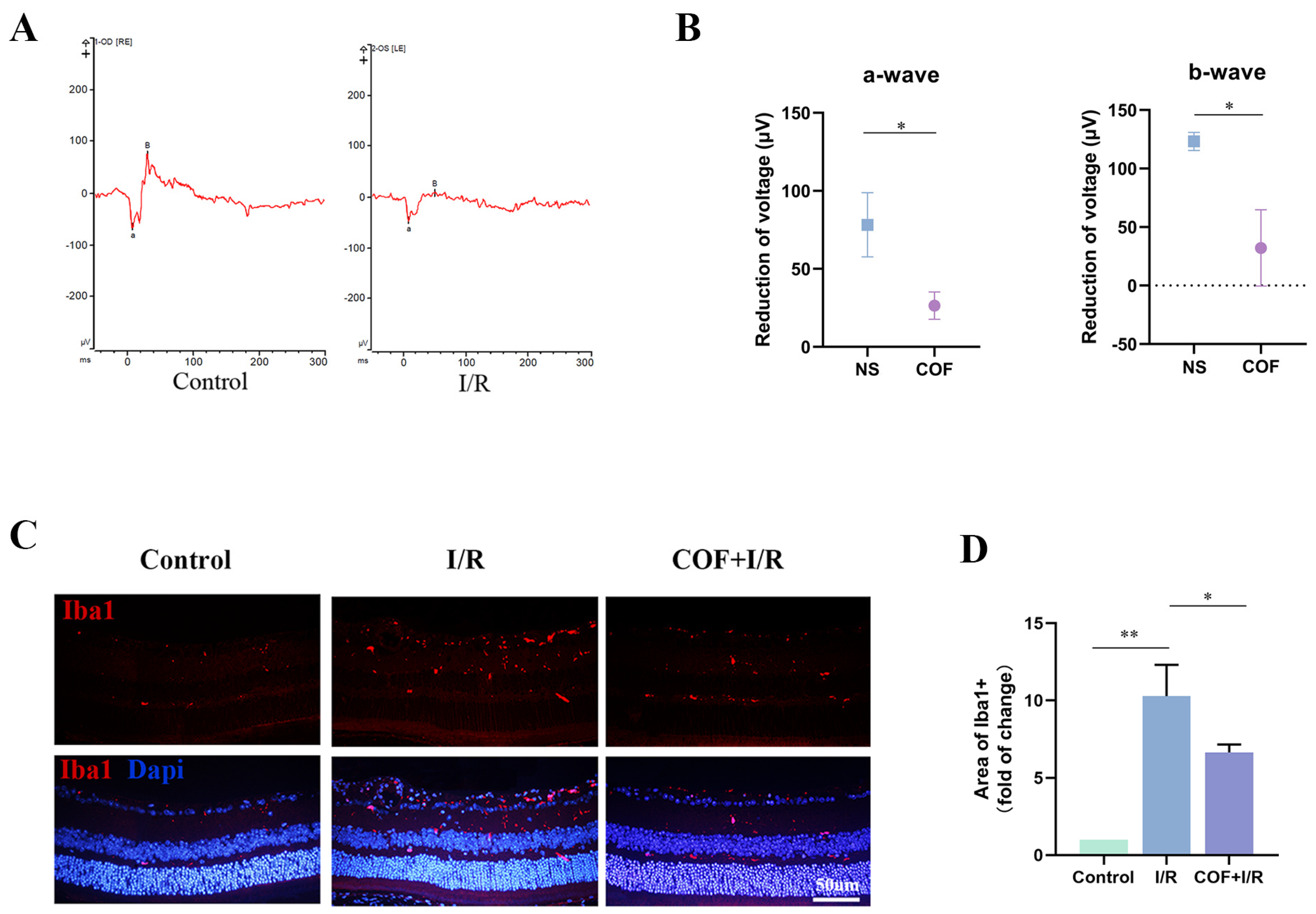 Polymers 14 03265 g004