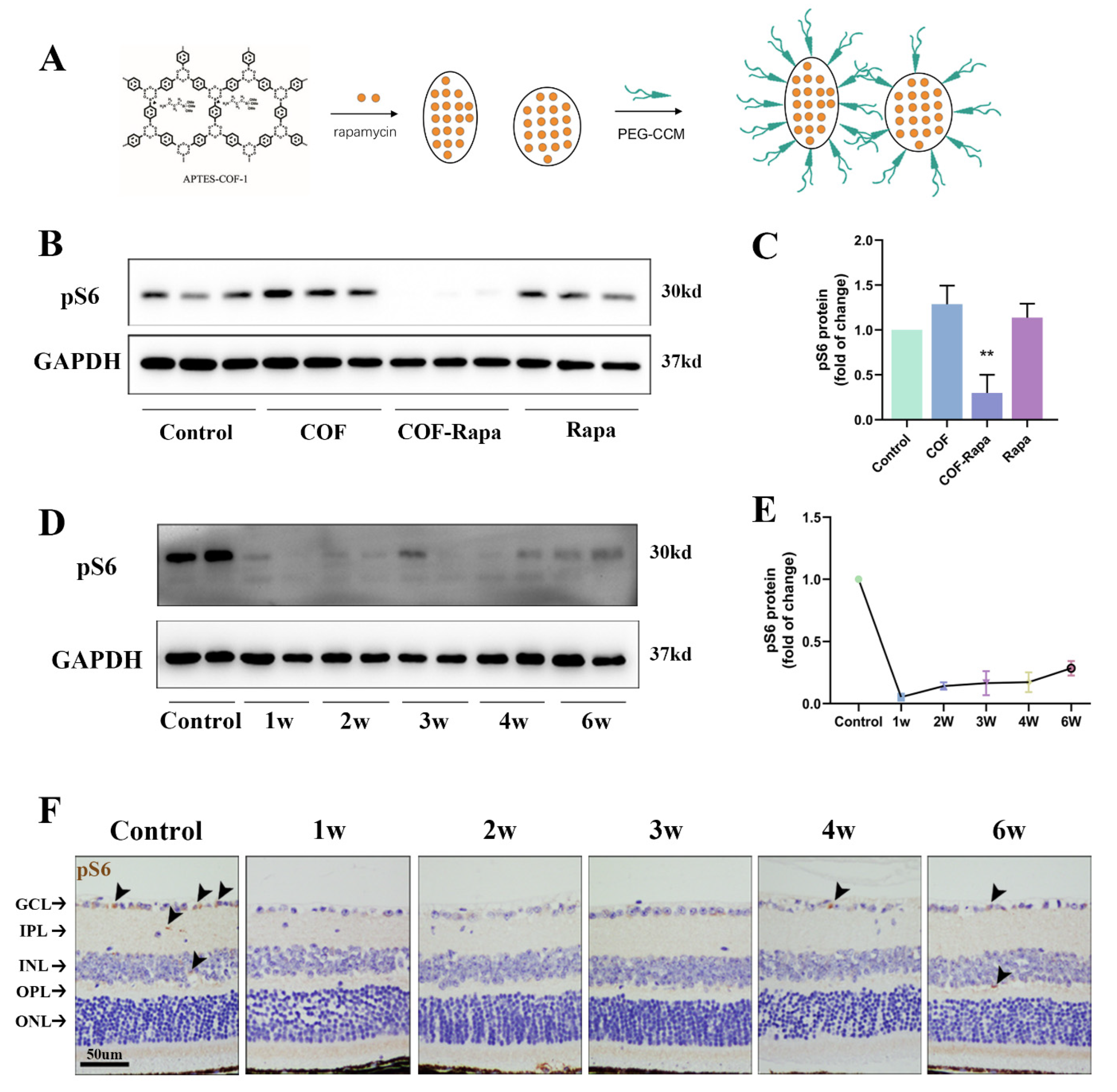 Polymers 14 03265 g005