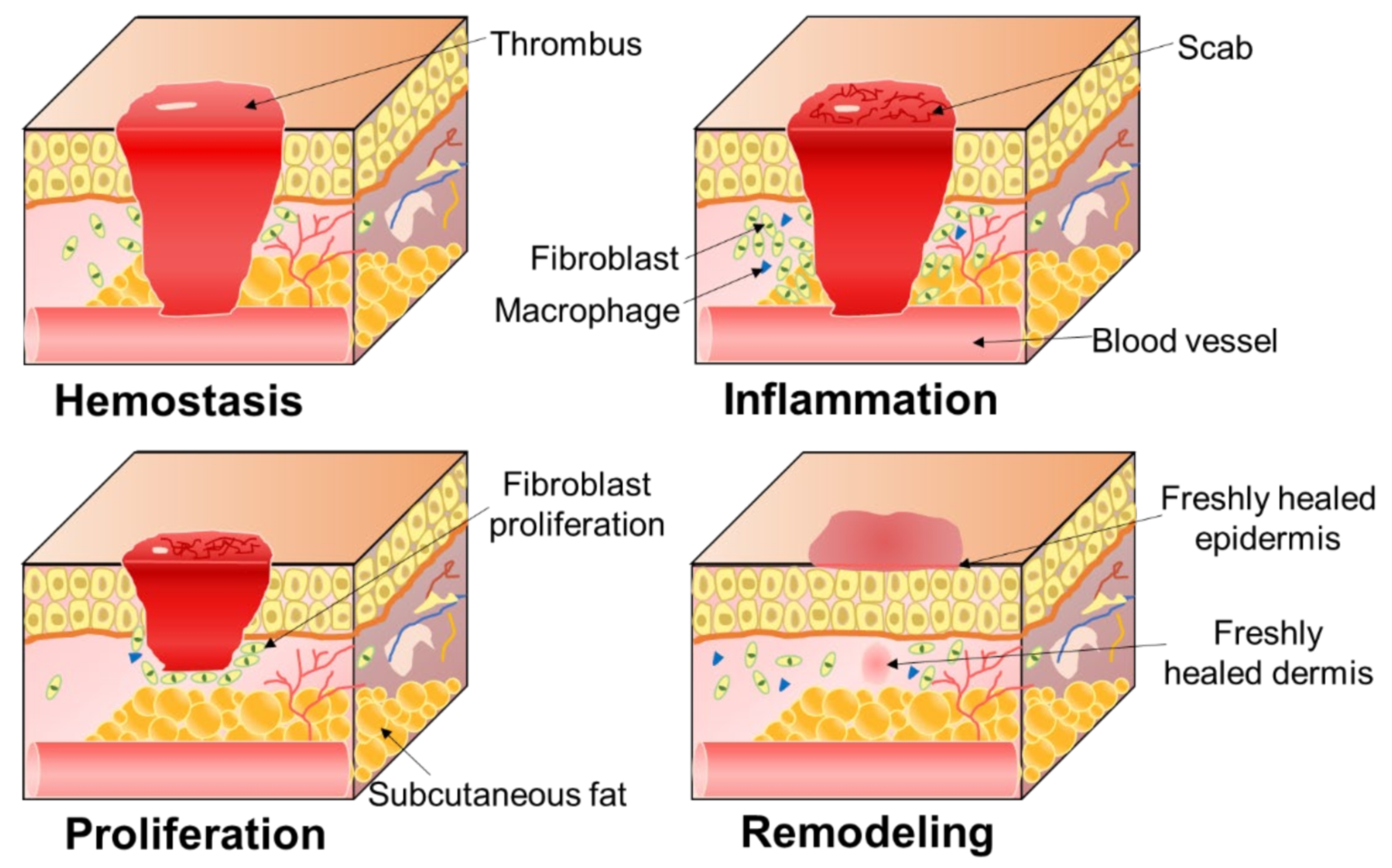 Polymers 14 03266 g002