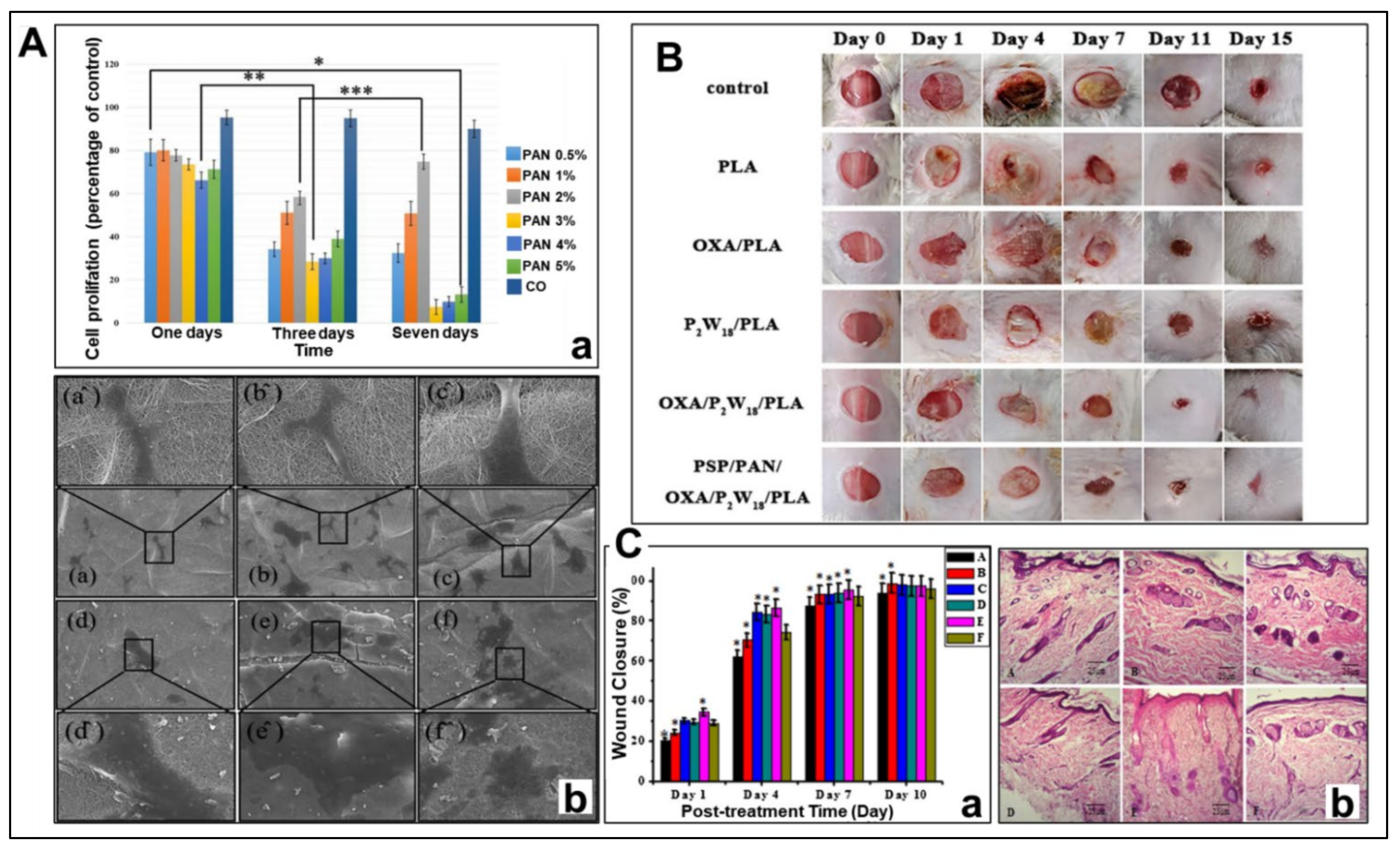 Polymers 14 03266 g013