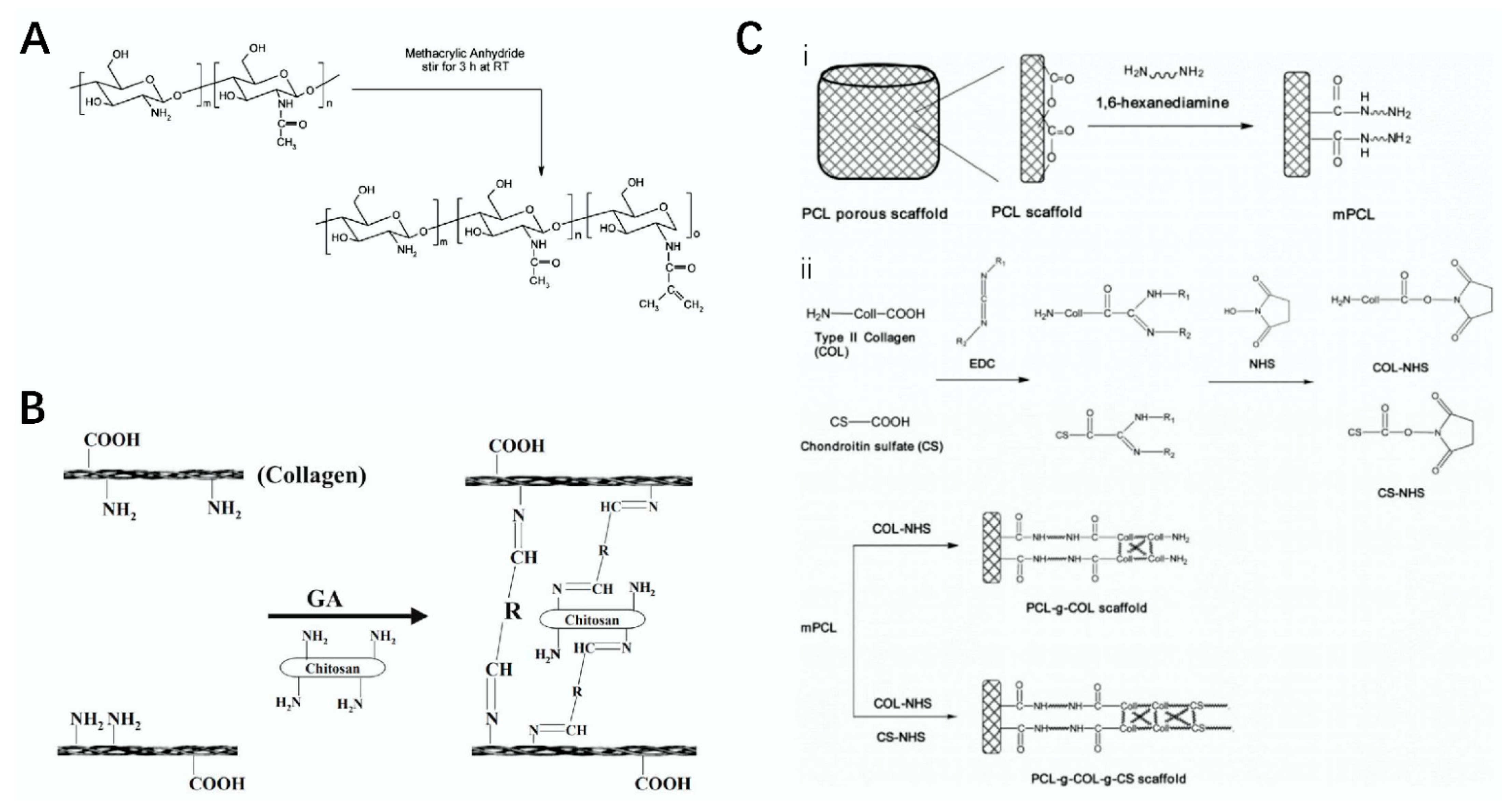 Polymers 14 03268 g002