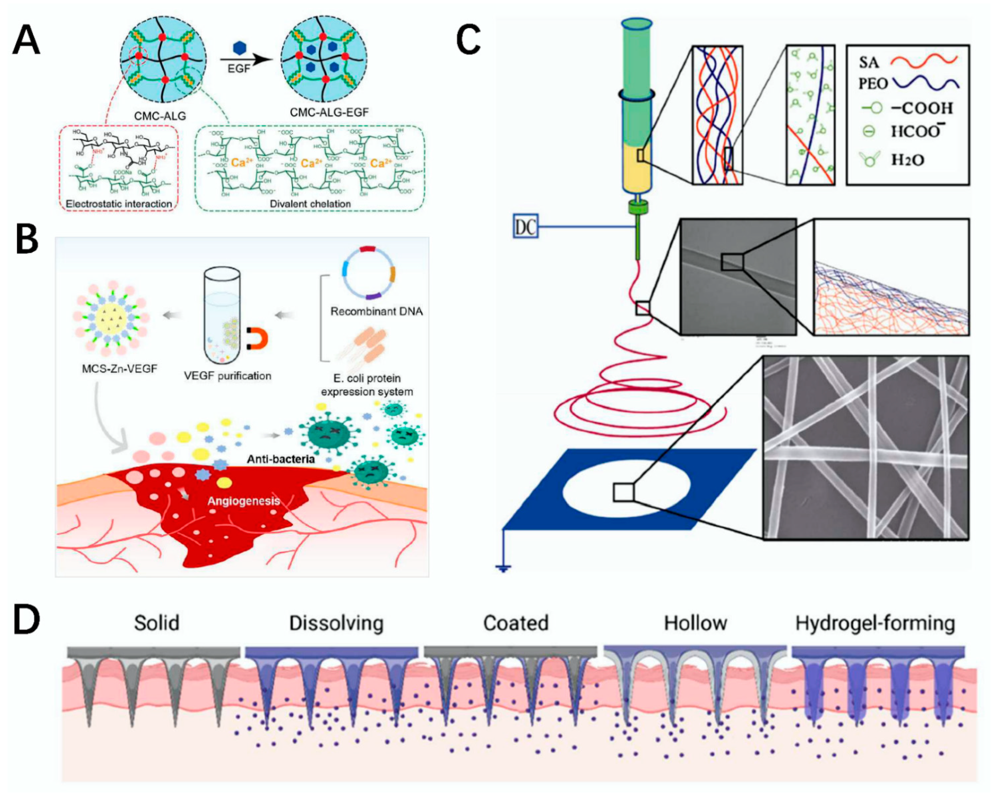 Polymers 14 03268 g005