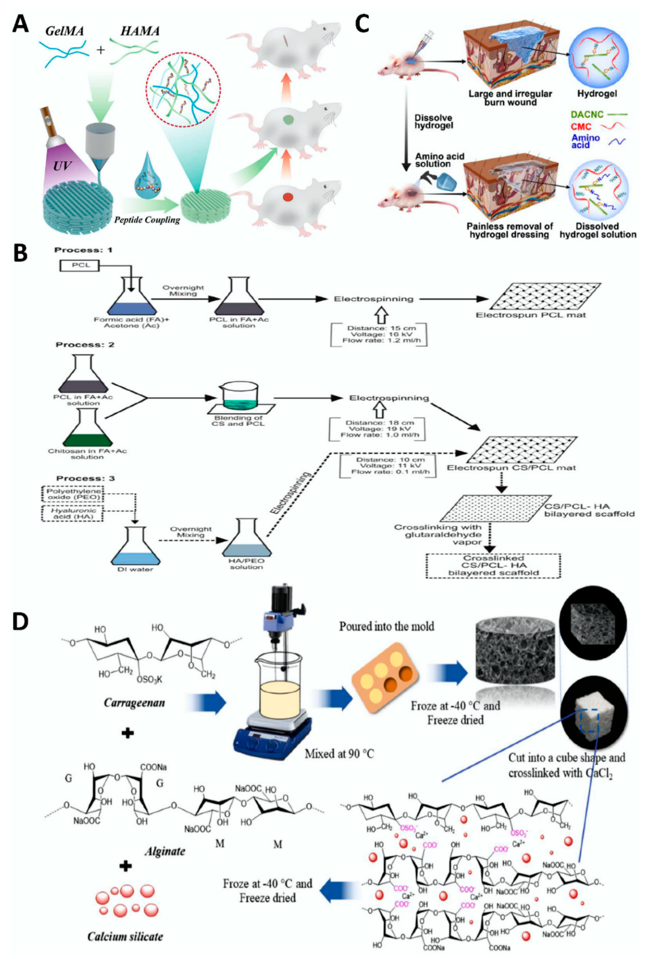 Polymers 14 03268 g007