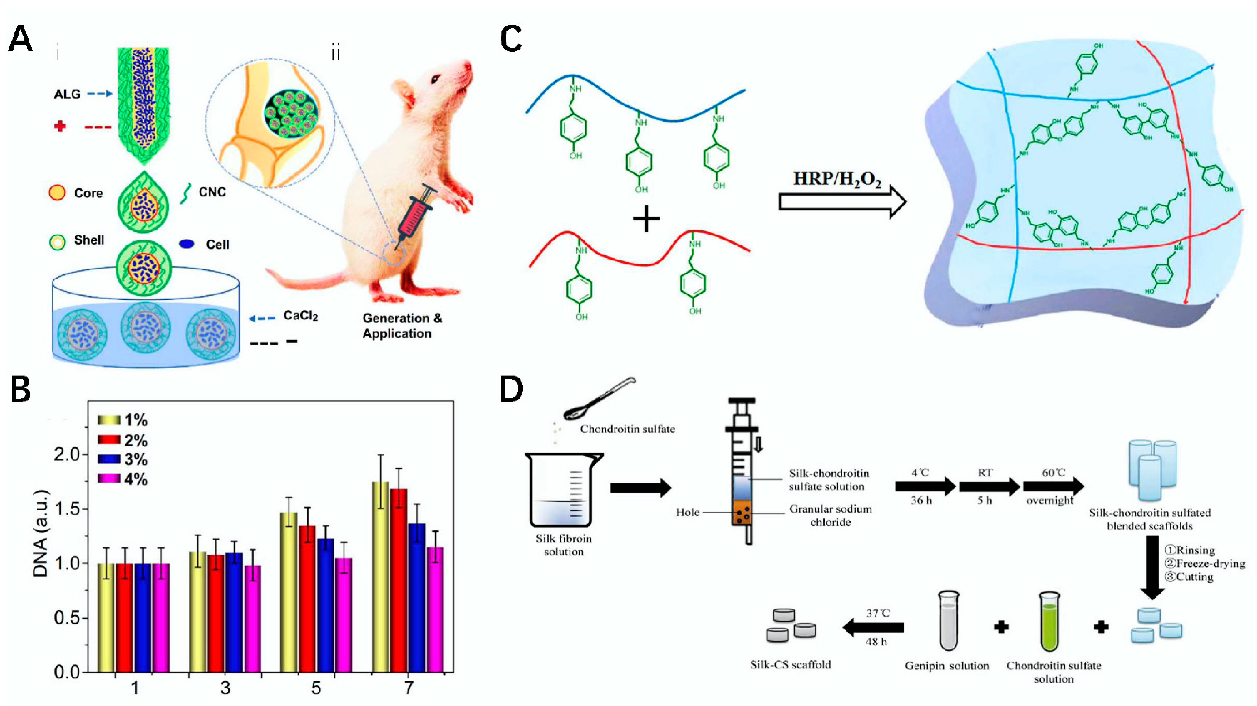 Polymers 14 03268 g008