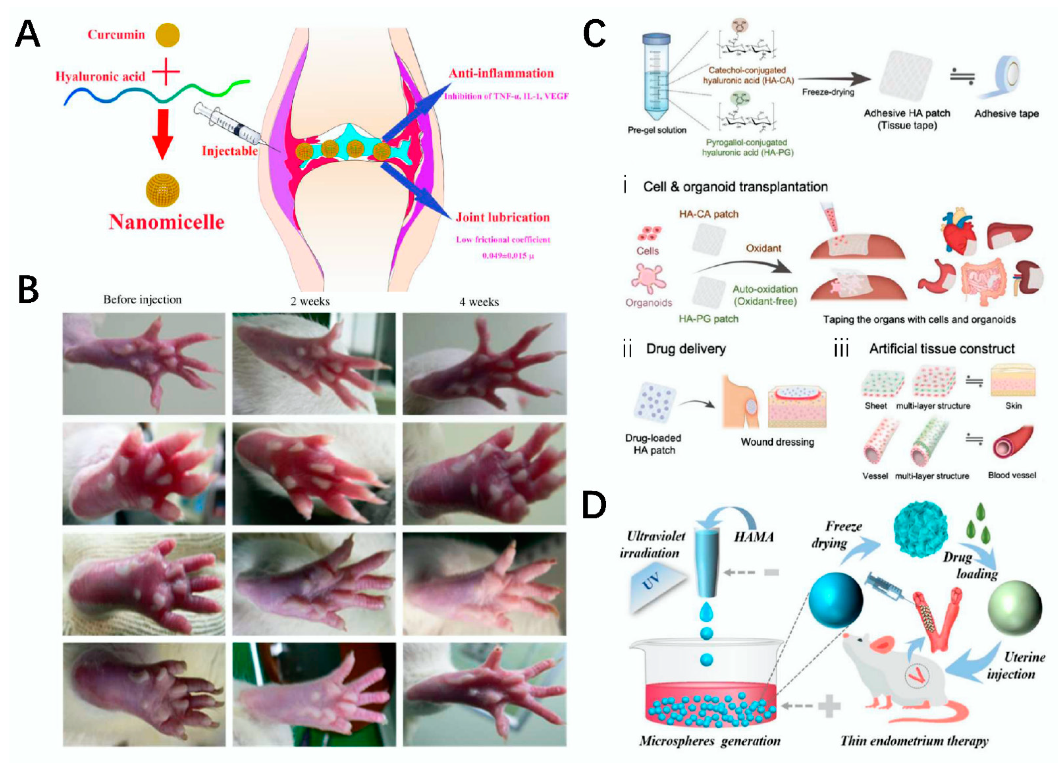 Polymers 14 03268 g009