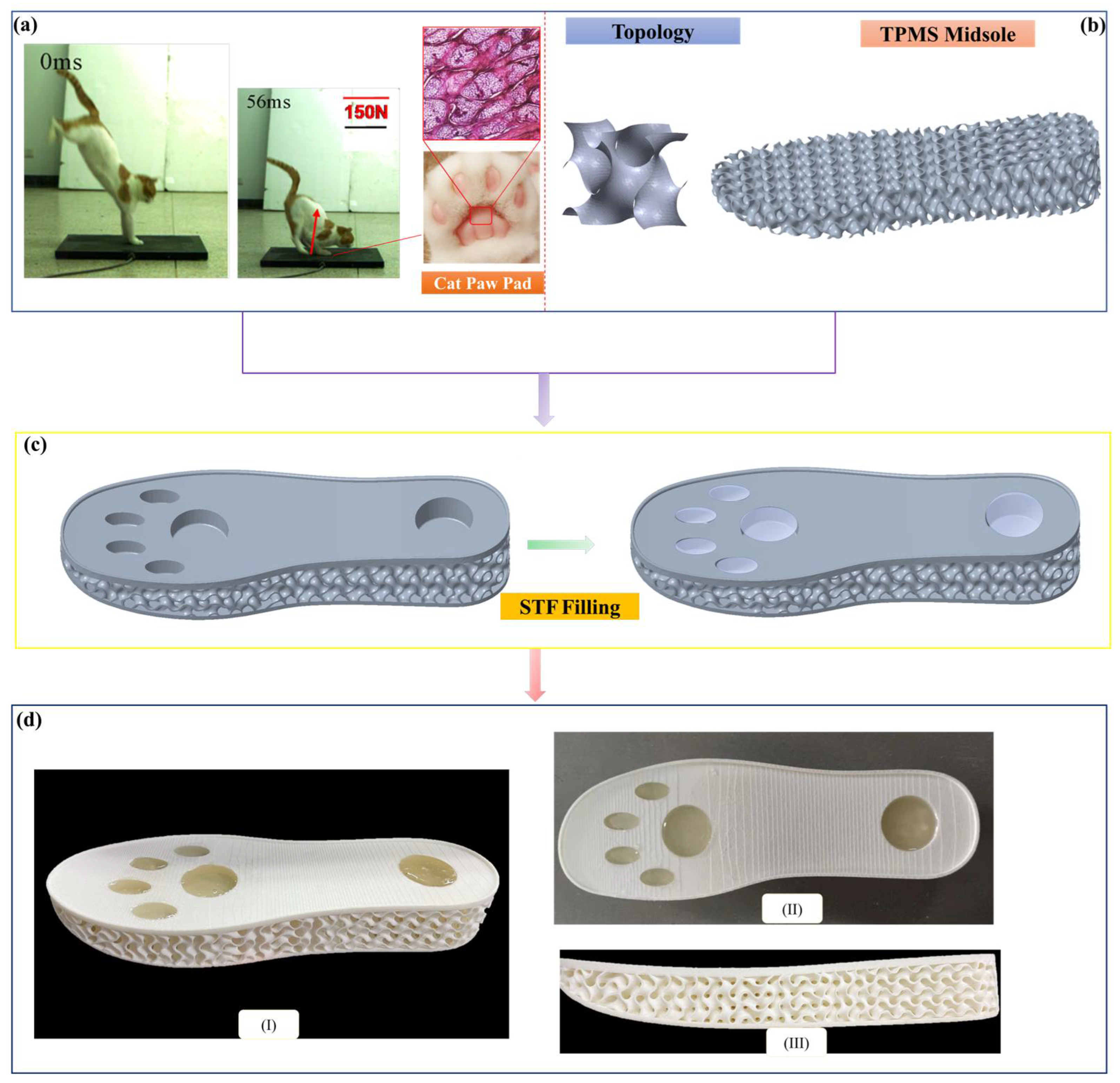 Polymers 14 03270 g001