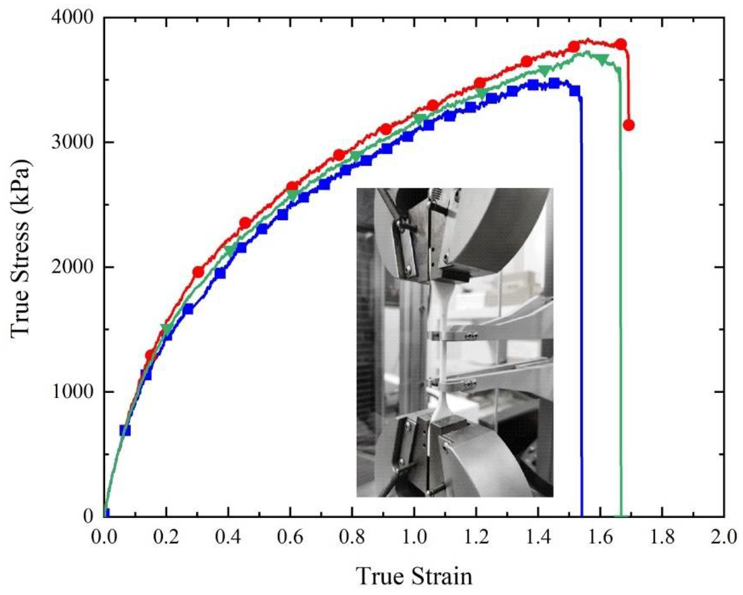 Polymers 14 03270 g002