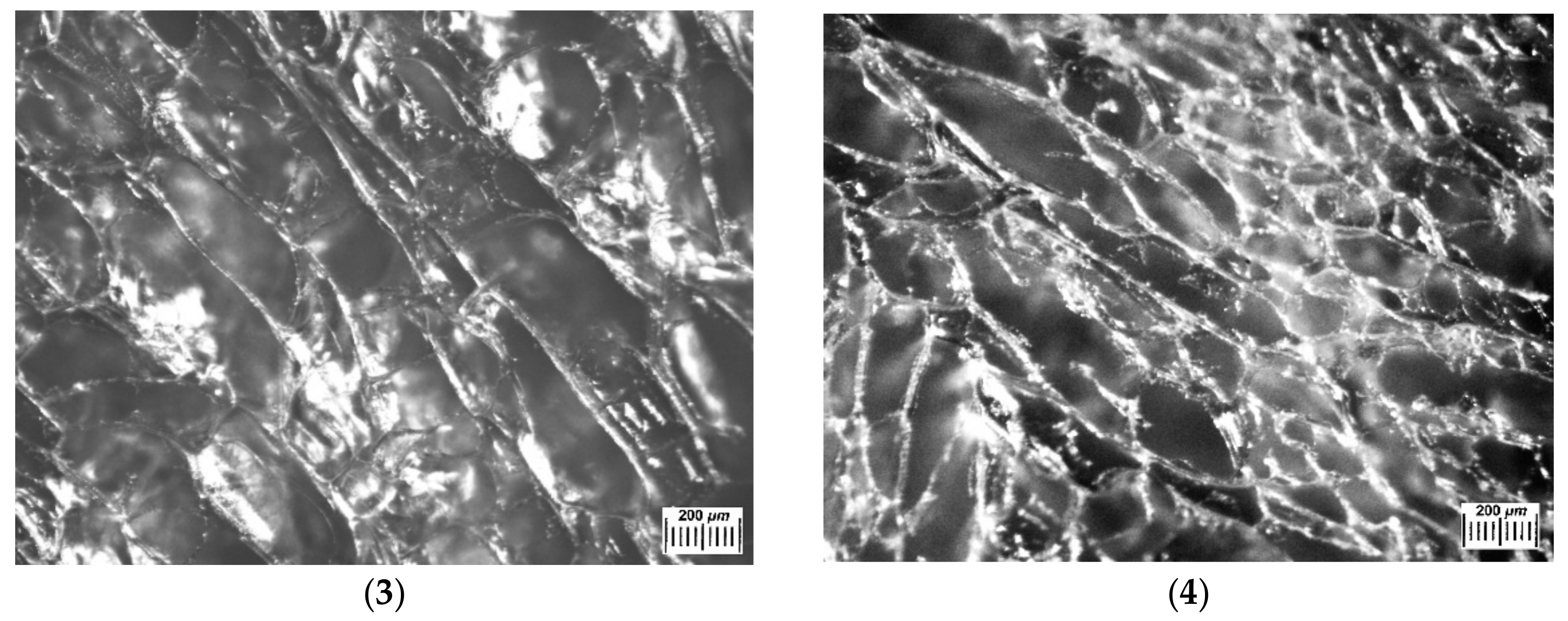 Polymers 14 03271 g003b