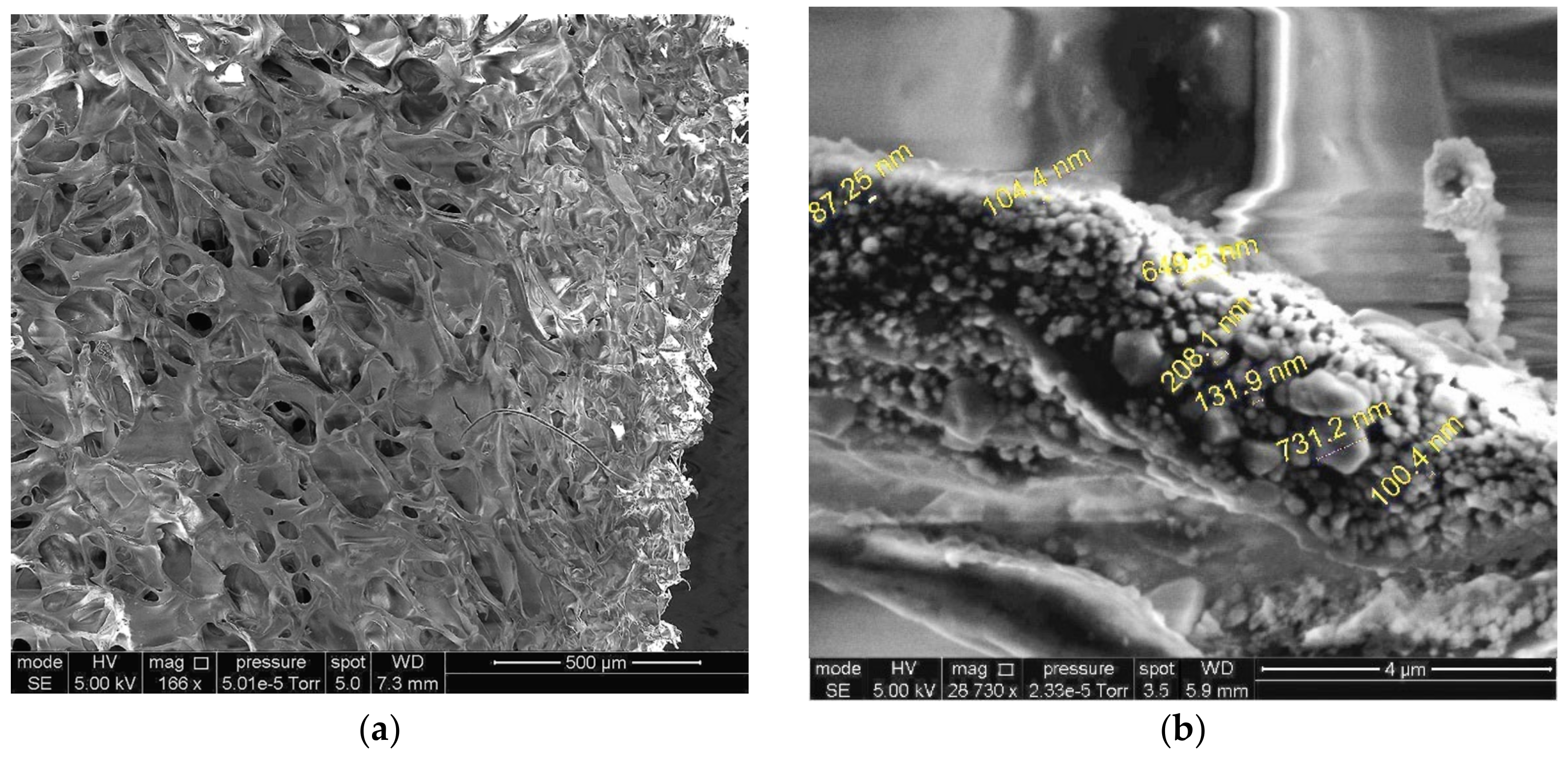 Polymers 14 03271 g008