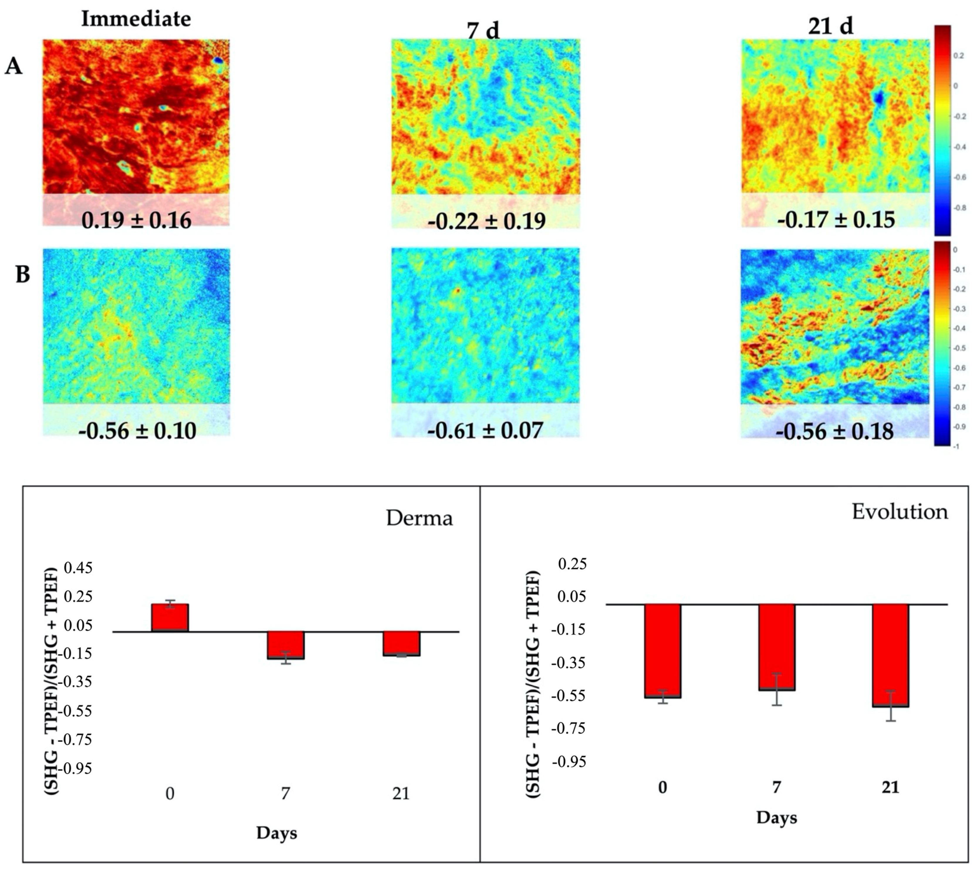 Polymers 14 03274 g006