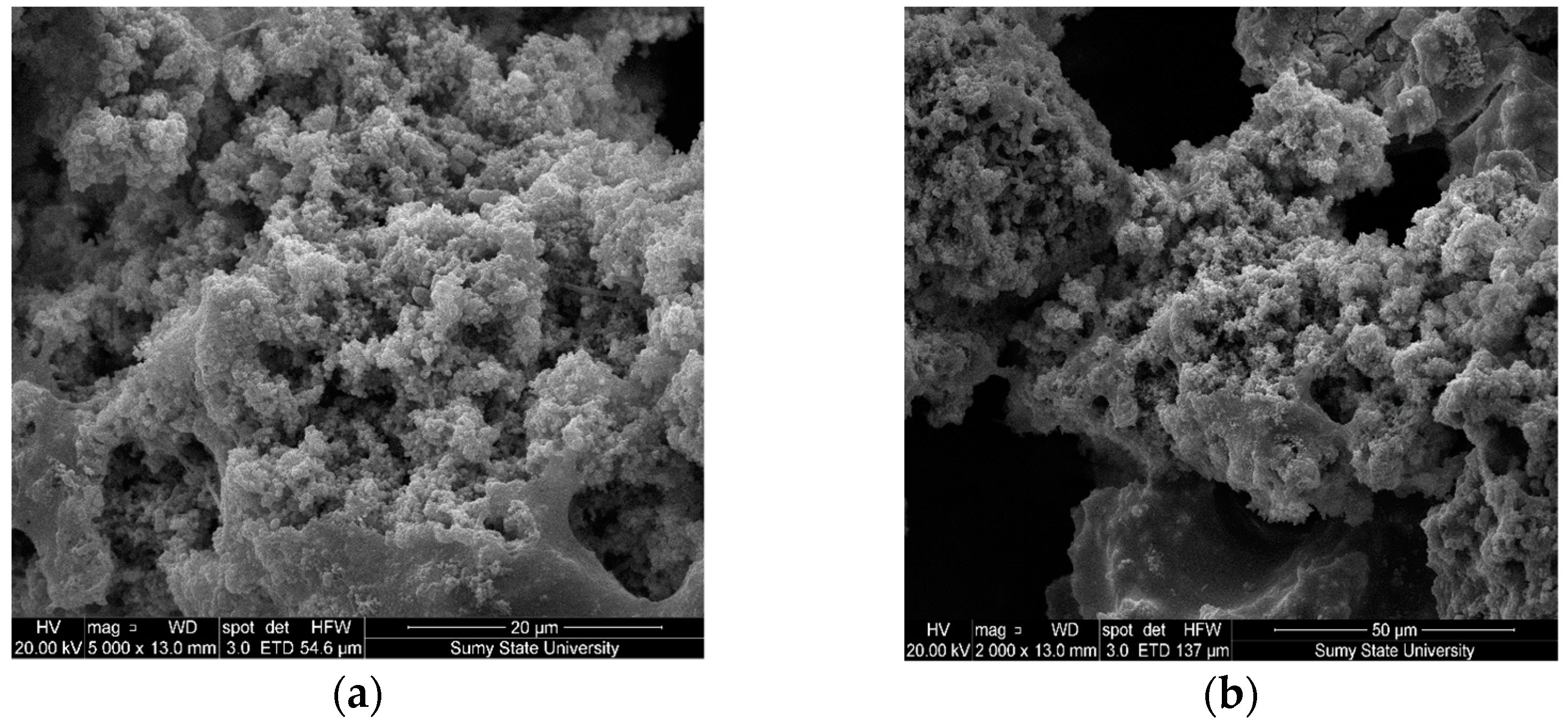 Polymers 14 03275 g014
