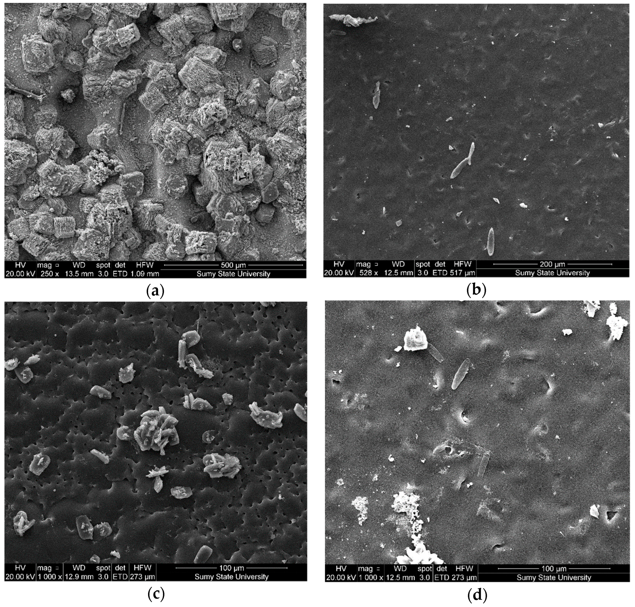 Polymers 14 03275 g015