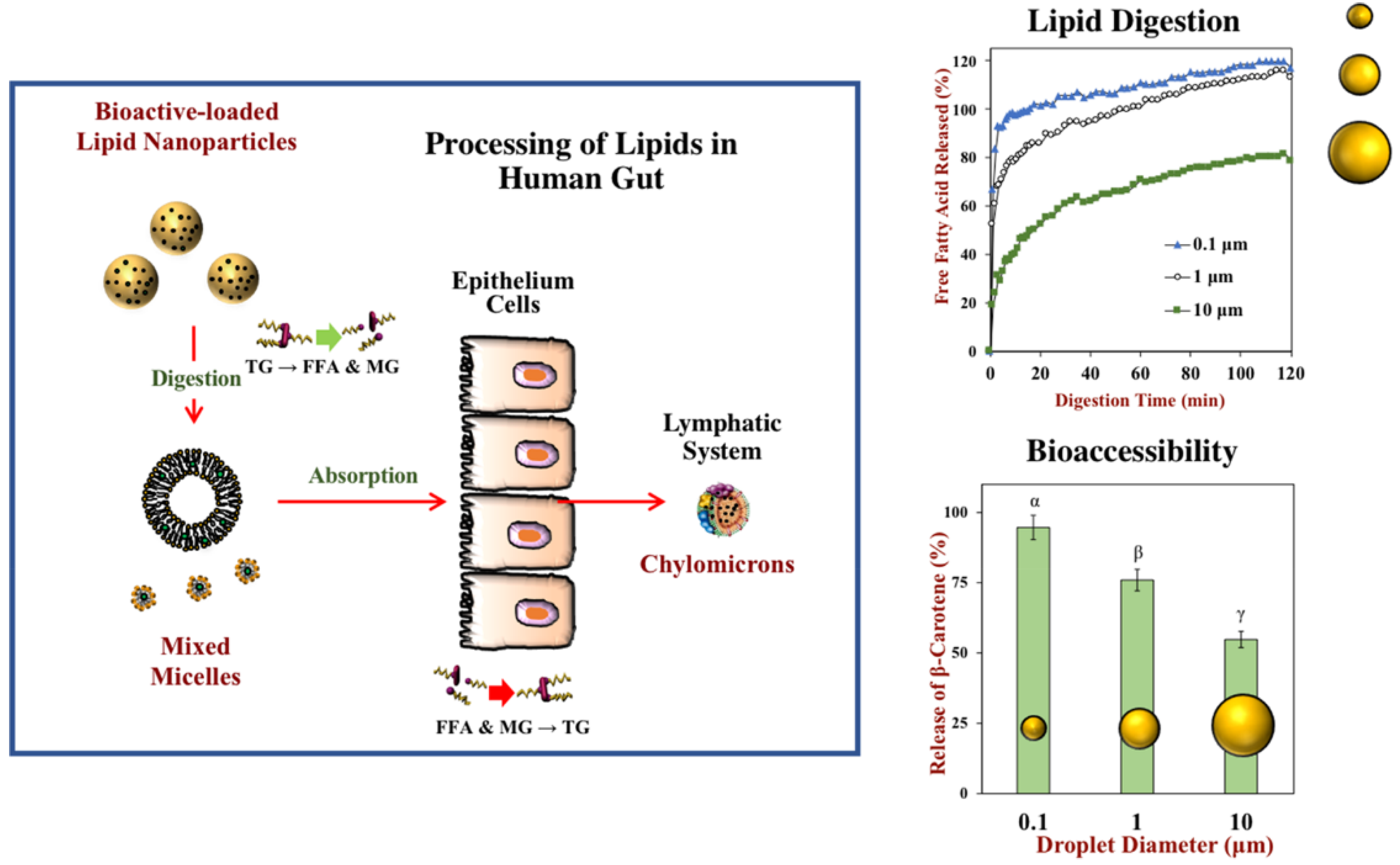 Polymers 14 03278 g003 Polymers 14 03278 g003