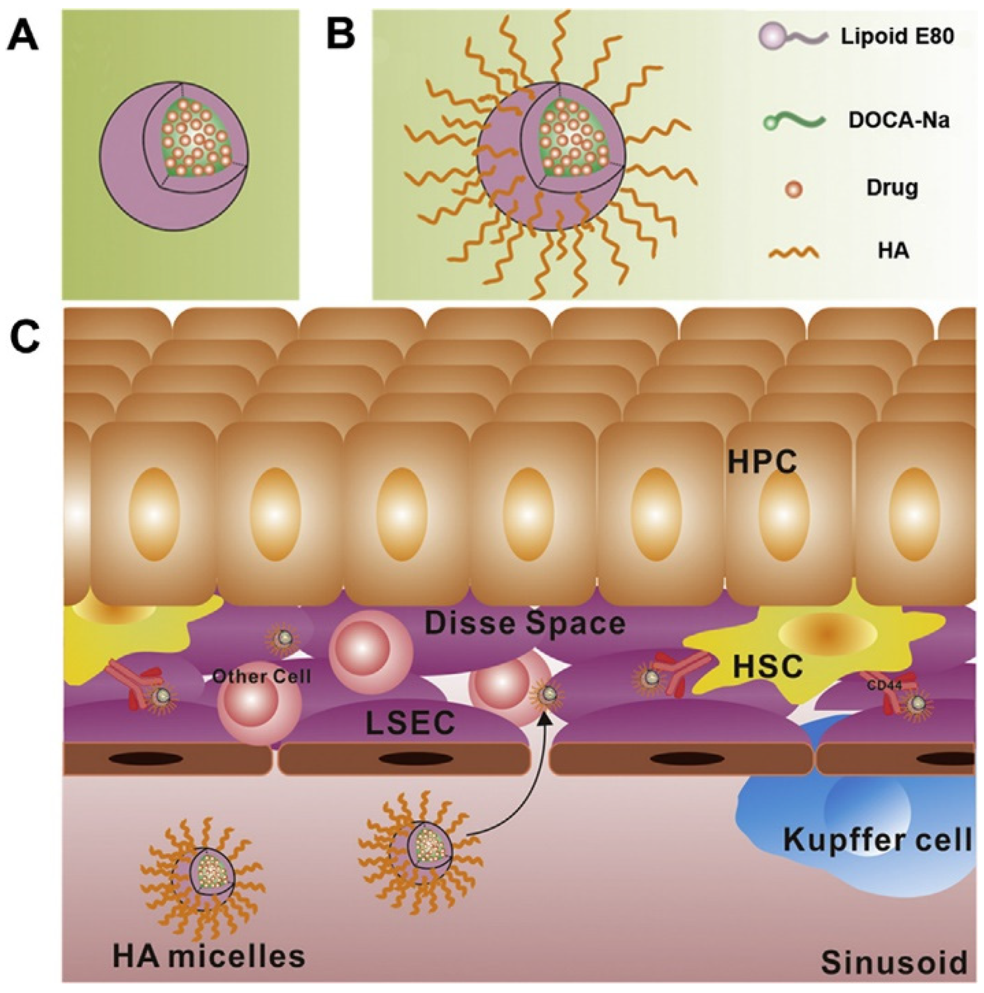 Polymers 14 03278 g006 Polymers 14 03278 g006