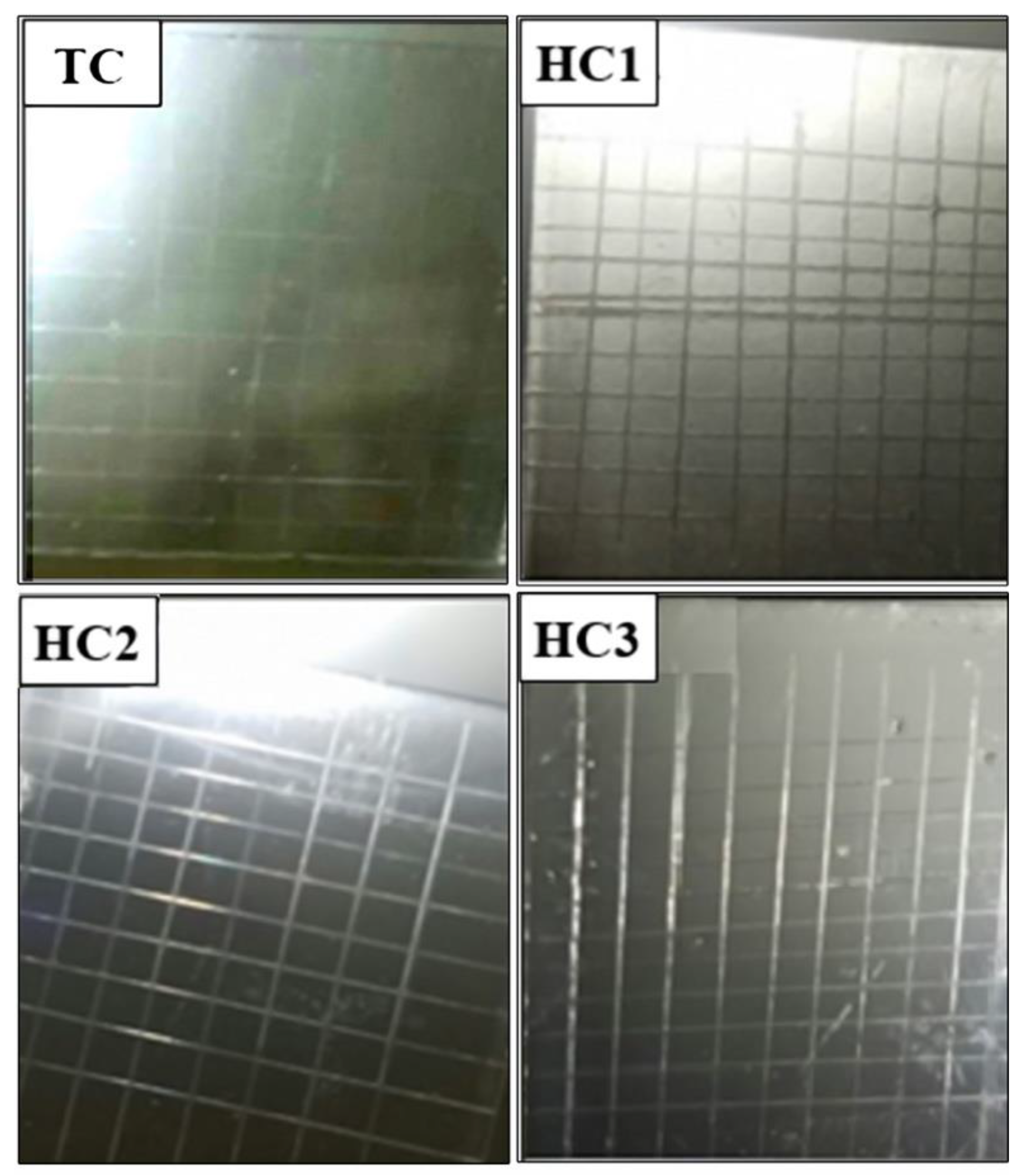 Polymers 14 03280 g007