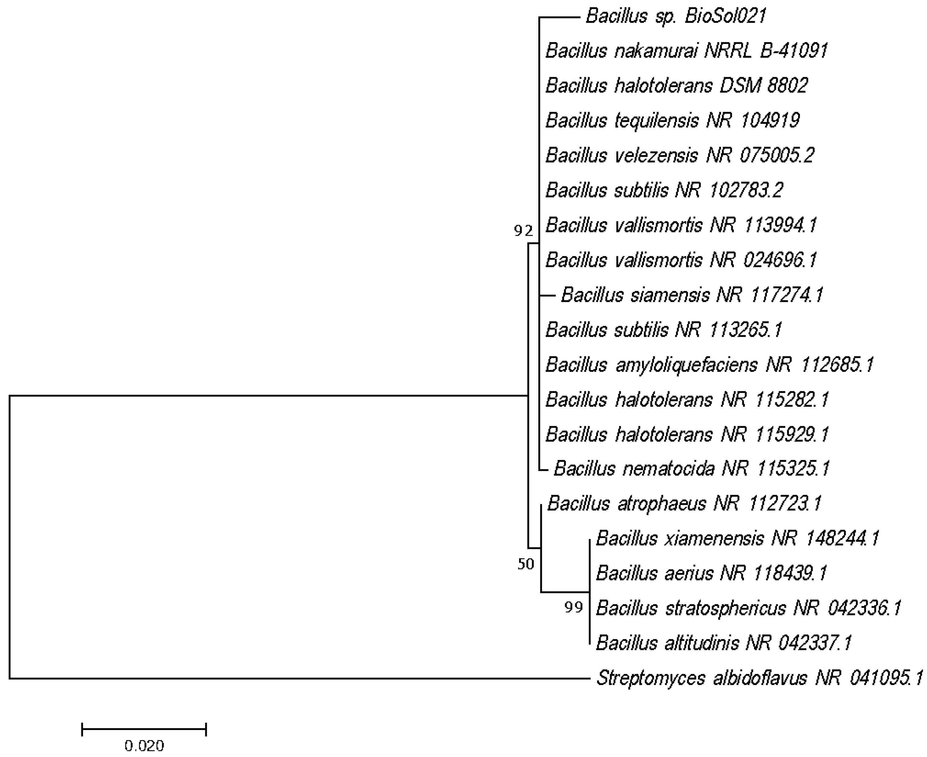 Polymers 14 03282 g001