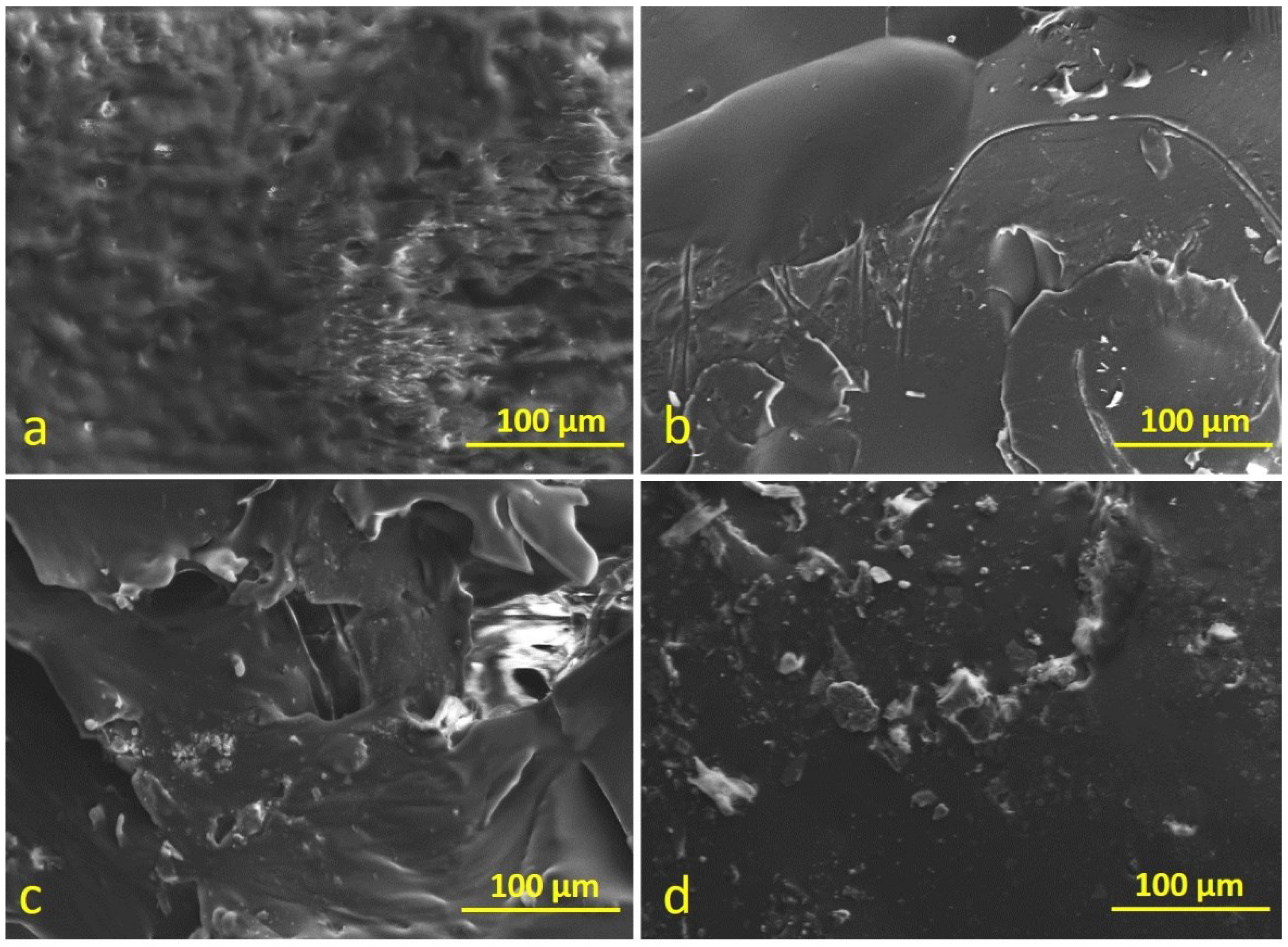 Polymers 14 03283 g014