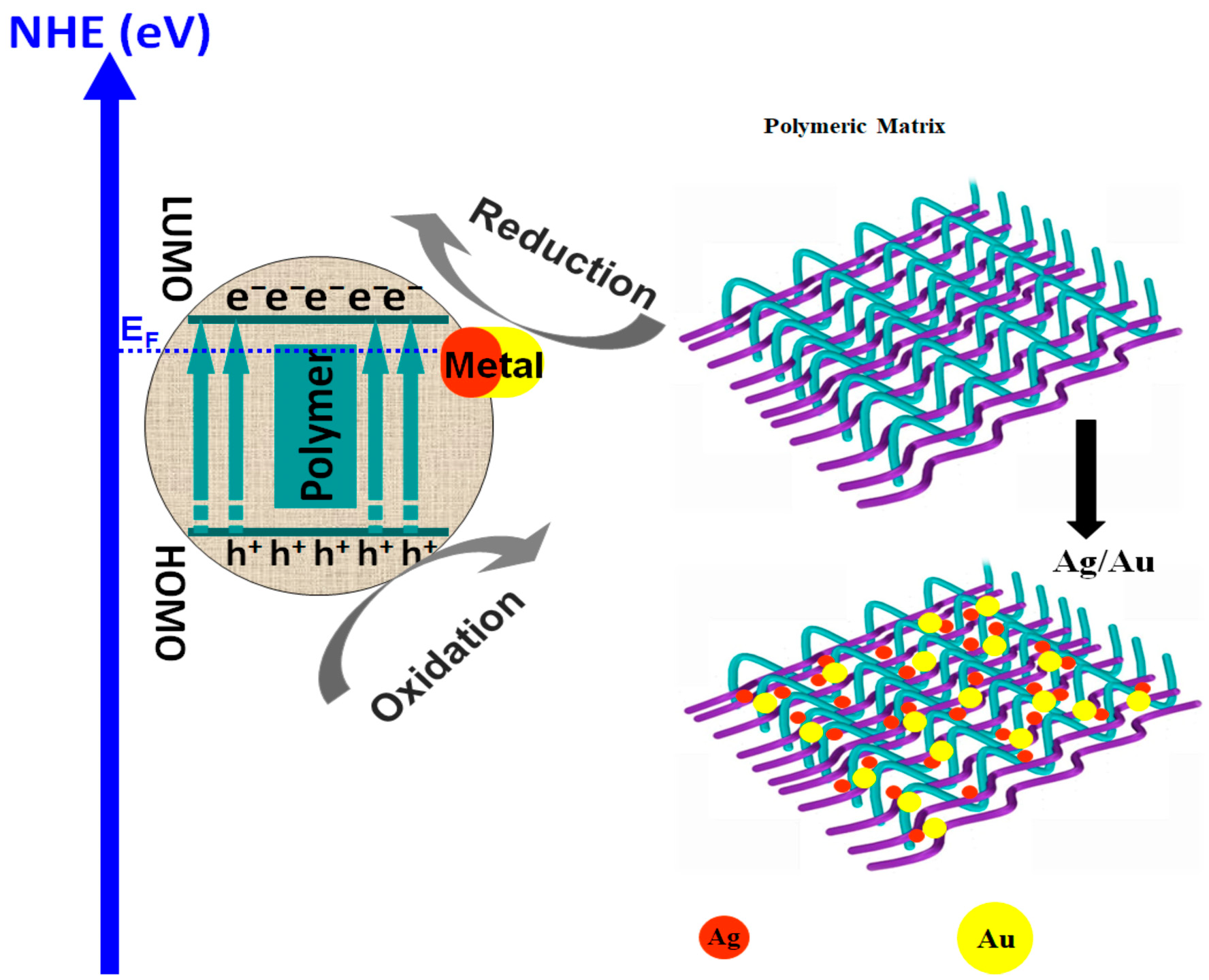 Polymers 14 03291 g005