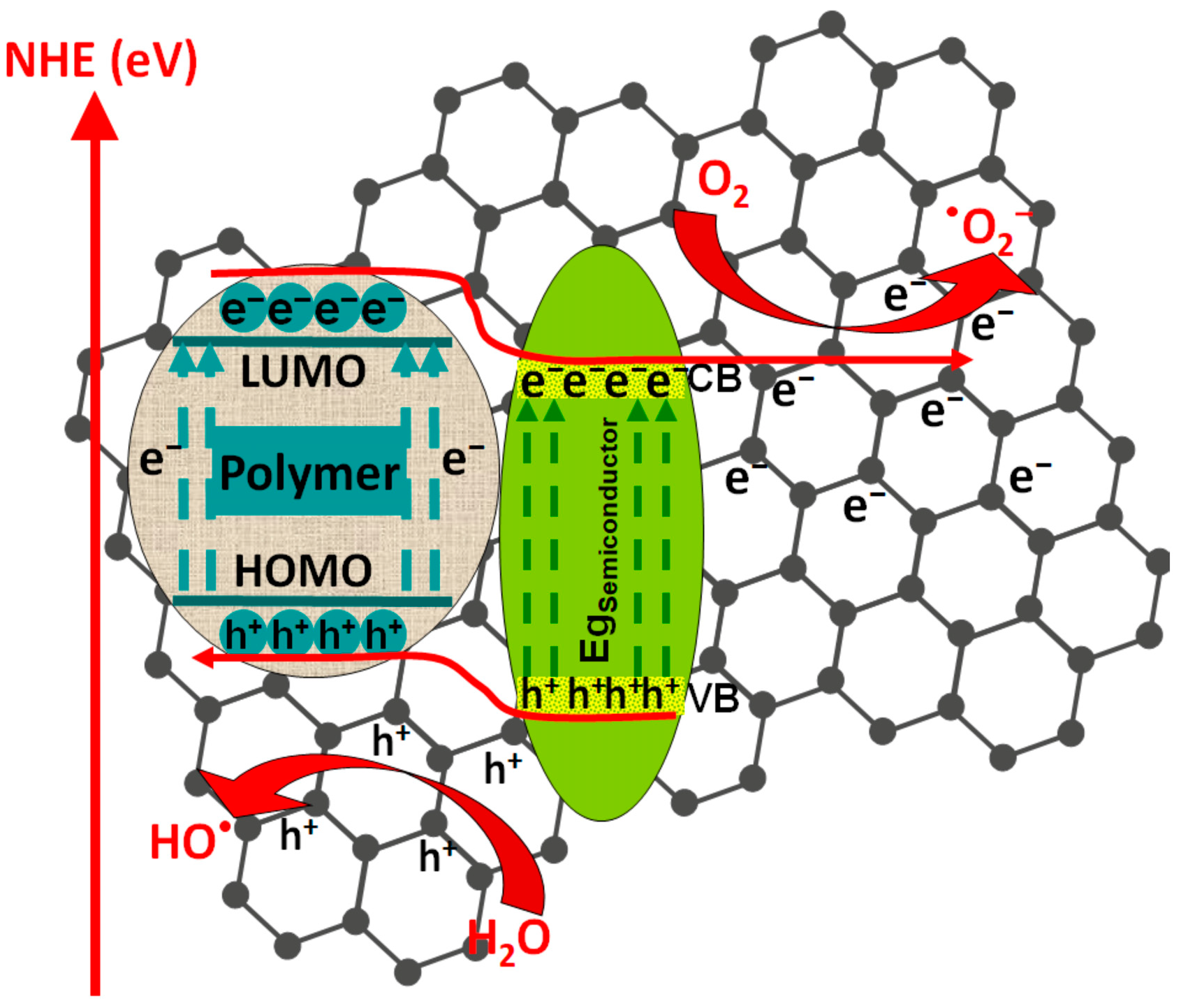 Polymers 14 03291 g006