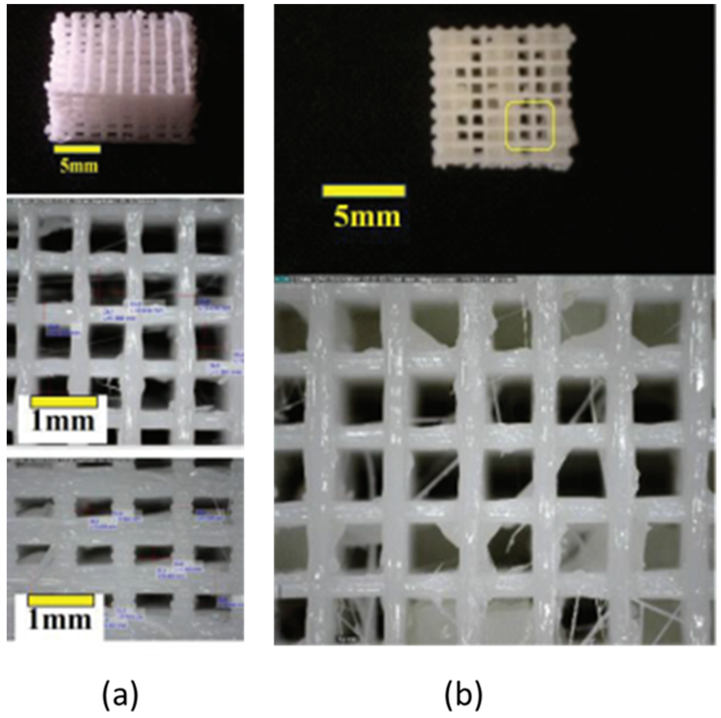 Polymers 14 03292 g001