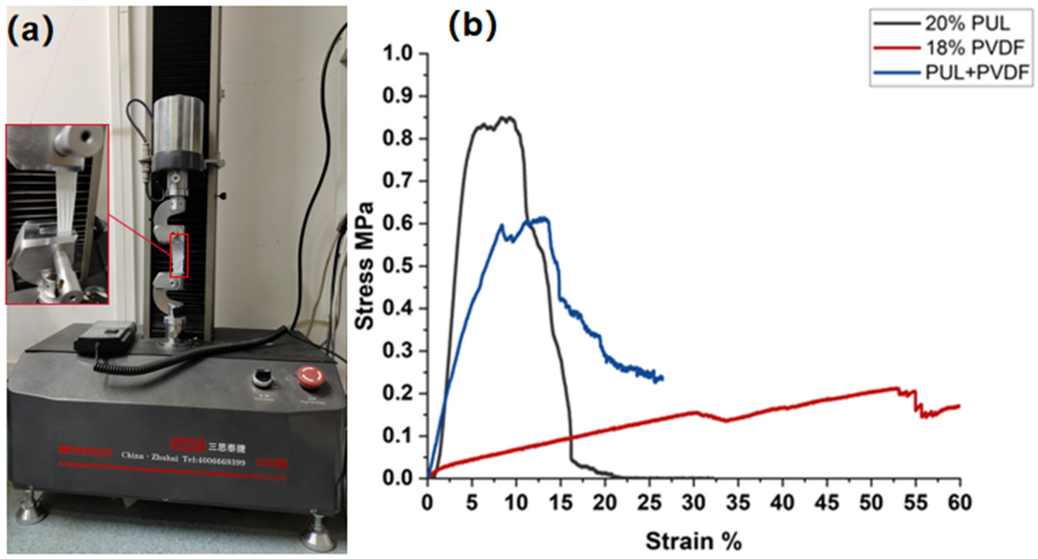 Polymers 14 03294 g007