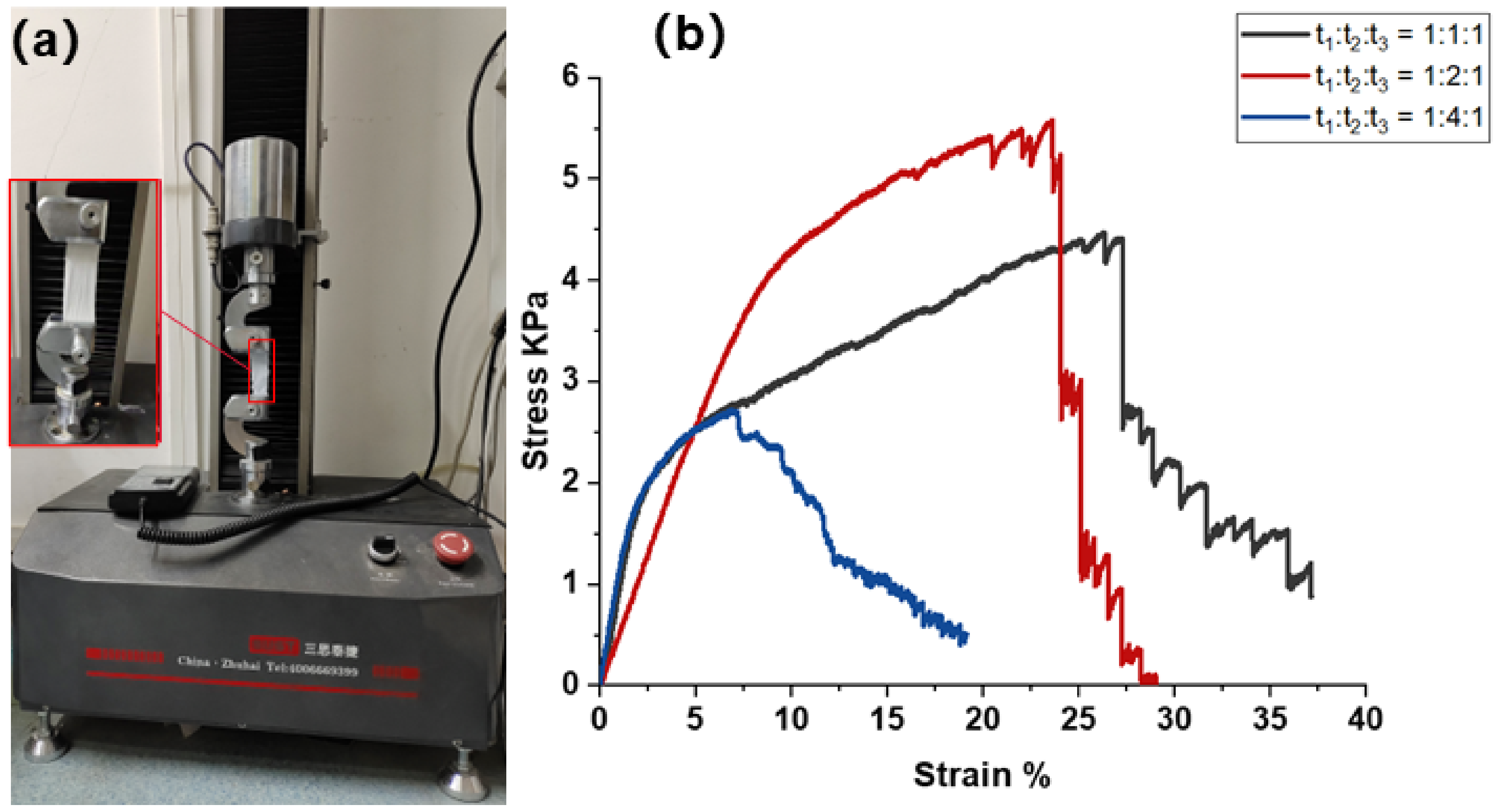 Polymers 14 03294 g008