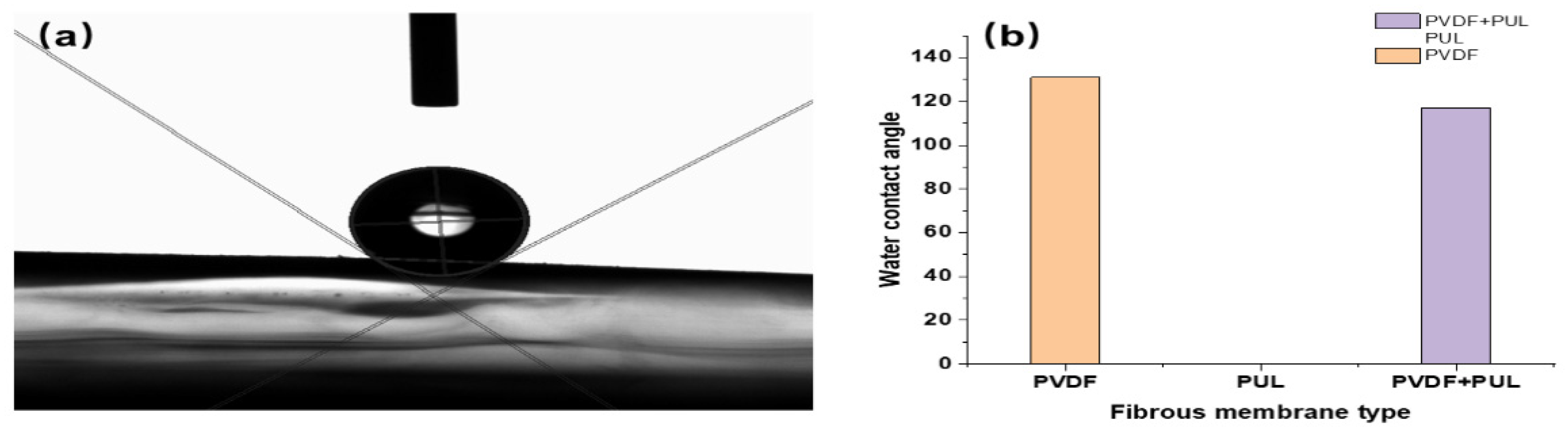 Polymers 14 03294 g012