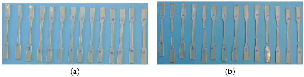 Polymers 14 03301 g001