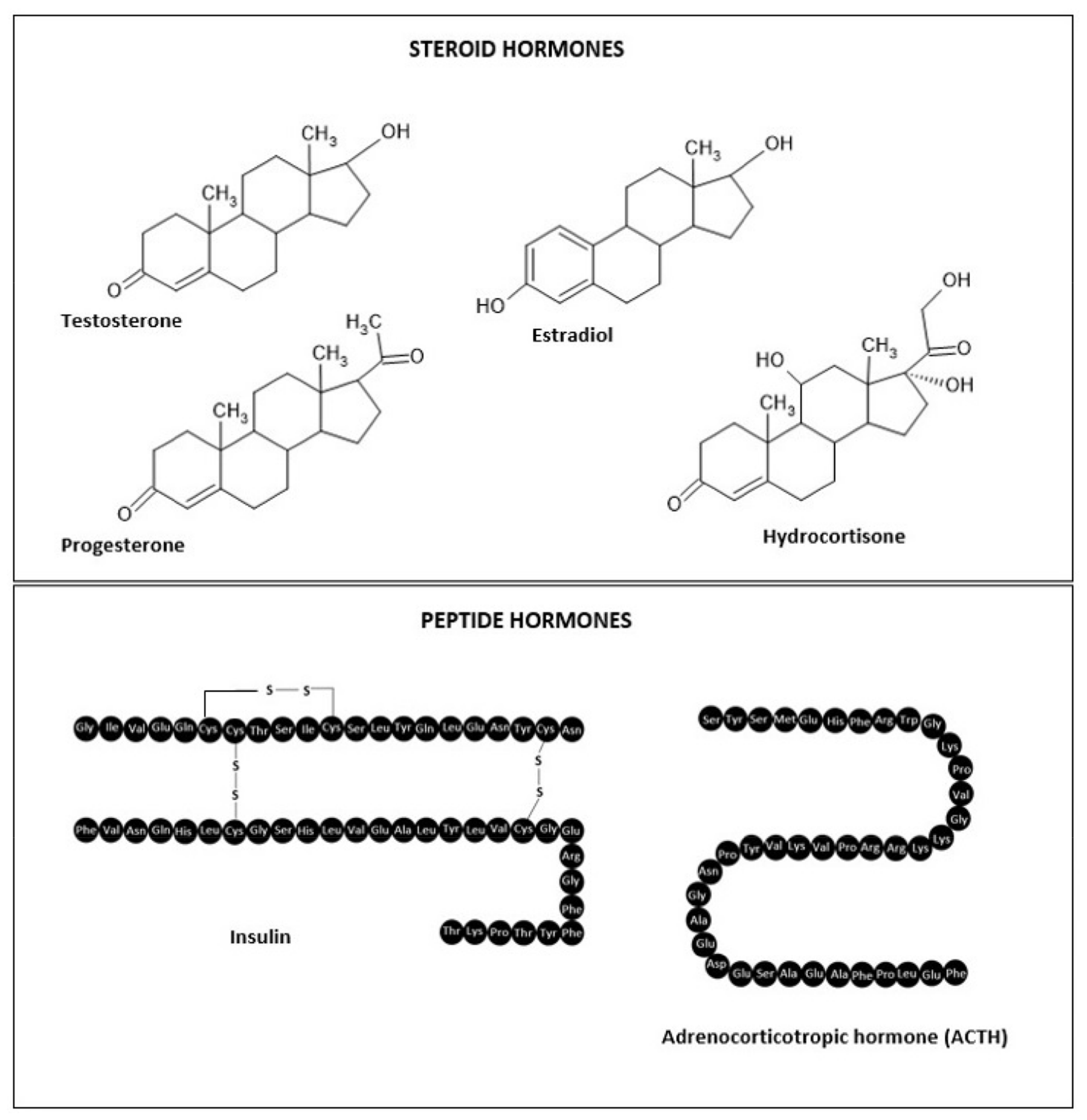 Polymers 14 03307 g001 Polymers 14 03307 g001