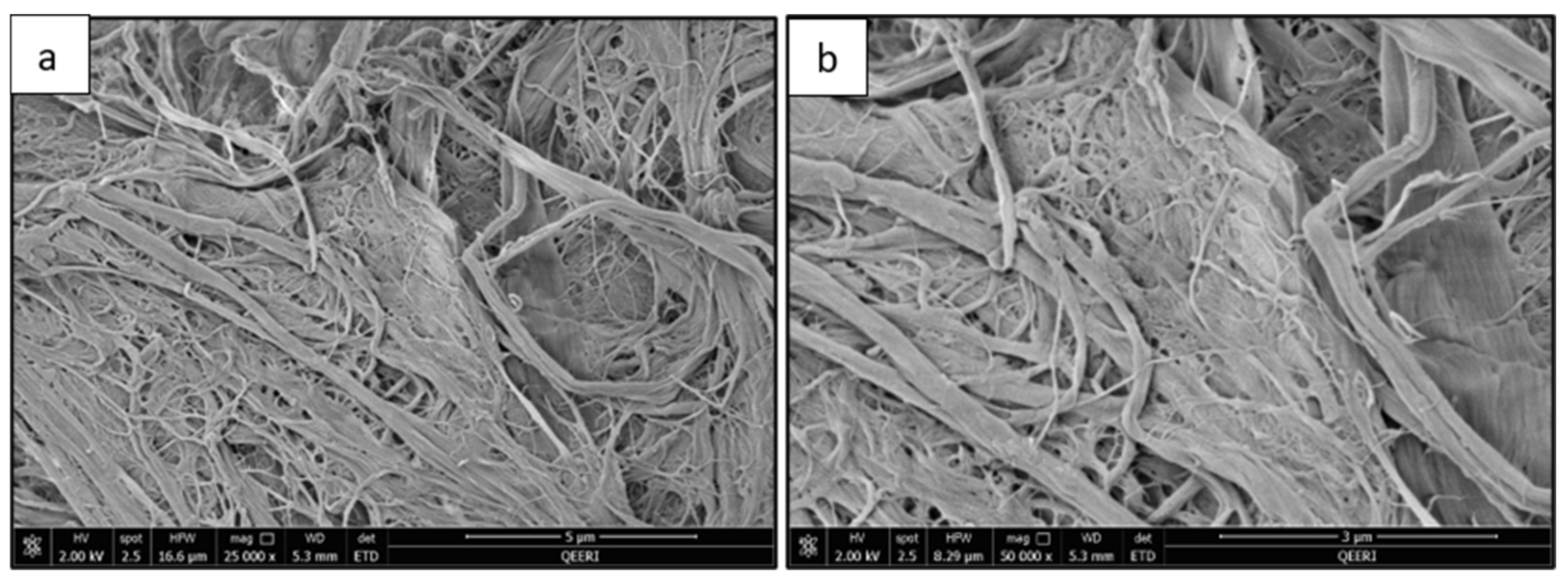 Polymers 14 03317 g002 Polymers 14 03317 g002