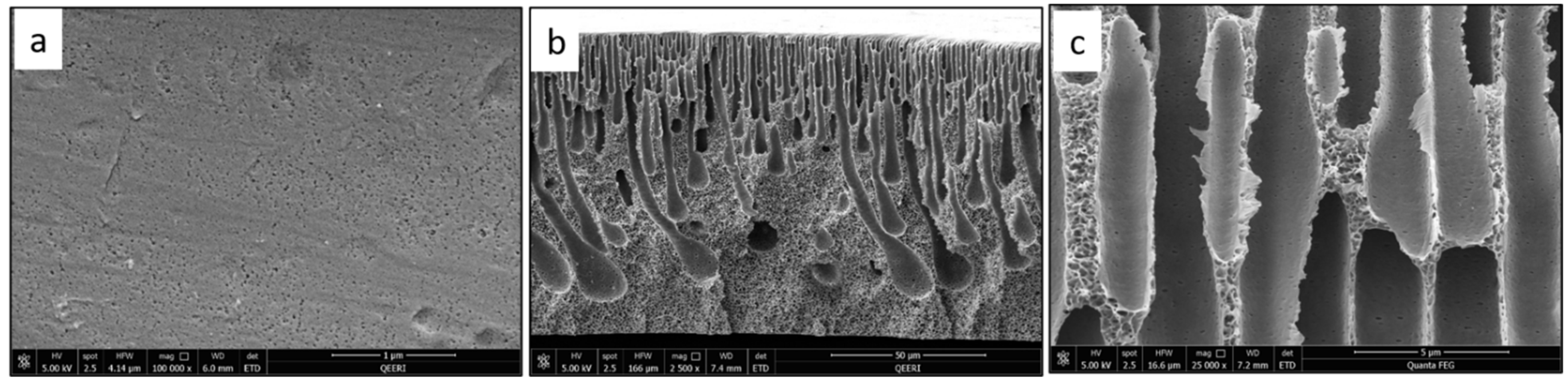 Polymers 14 03317 g004 Polymers 14 03317 g004