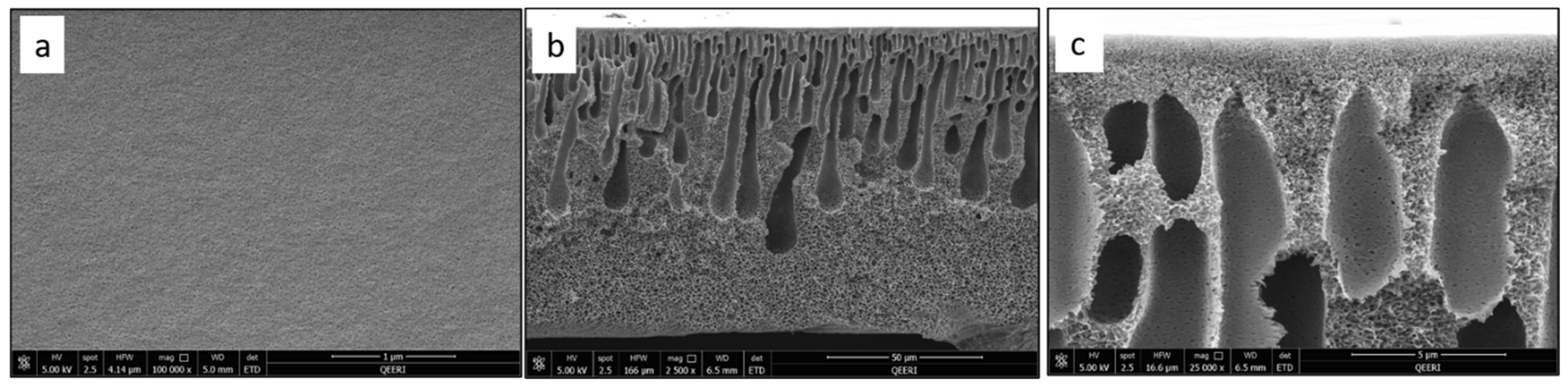 Polymers 14 03317 g005 Polymers 14 03317 g005