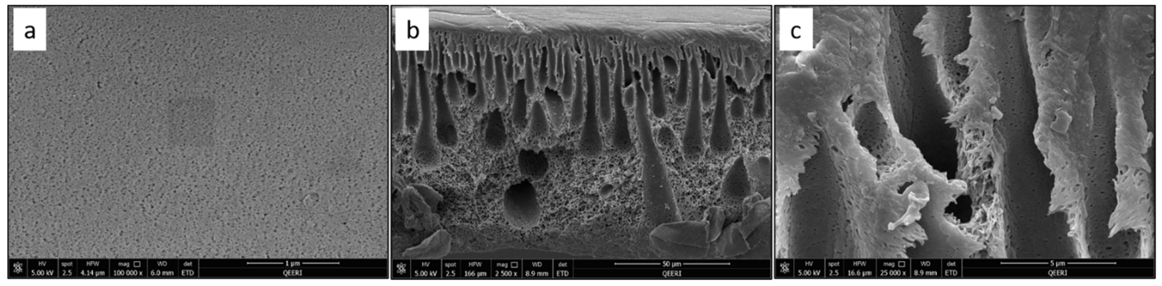 Polymers 14 03317 g006 Polymers 14 03317 g006