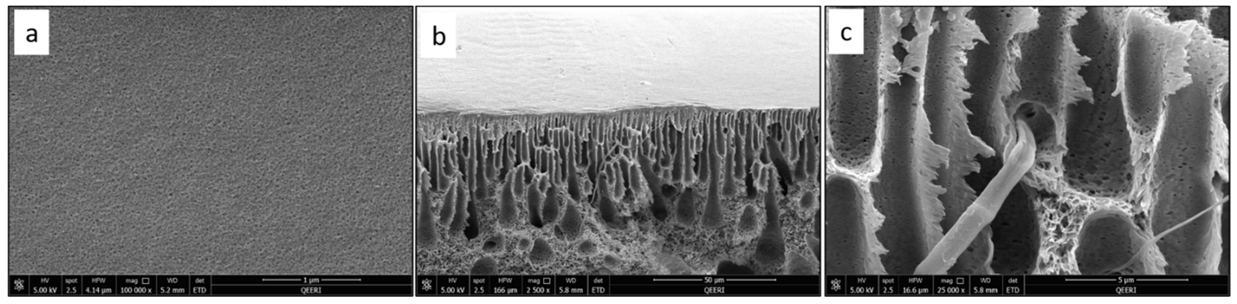 Polymers 14 03317 g007 Polymers 14 03317 g007
