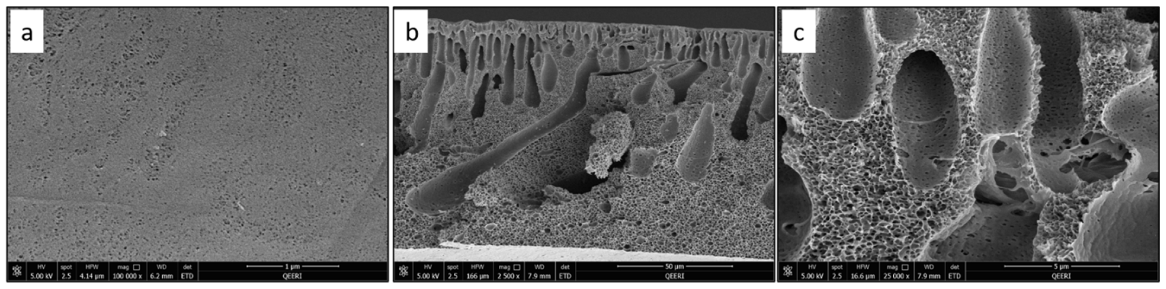 Polymers 14 03317 g008 Polymers 14 03317 g008