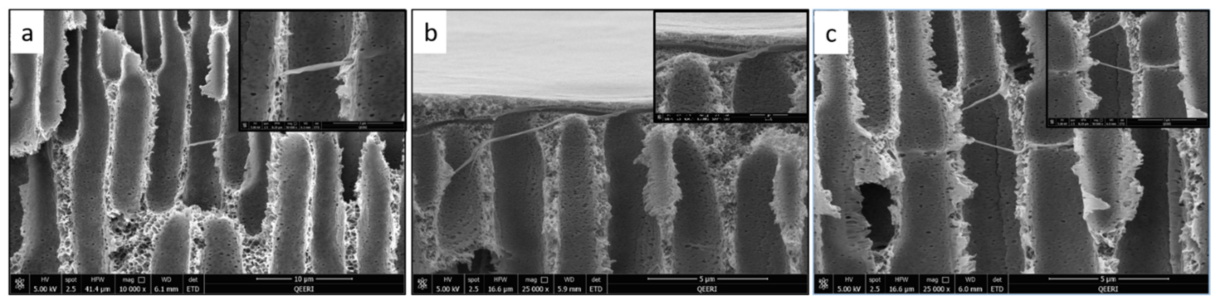 Polymers 14 03317 g009 Polymers 14 03317 g009