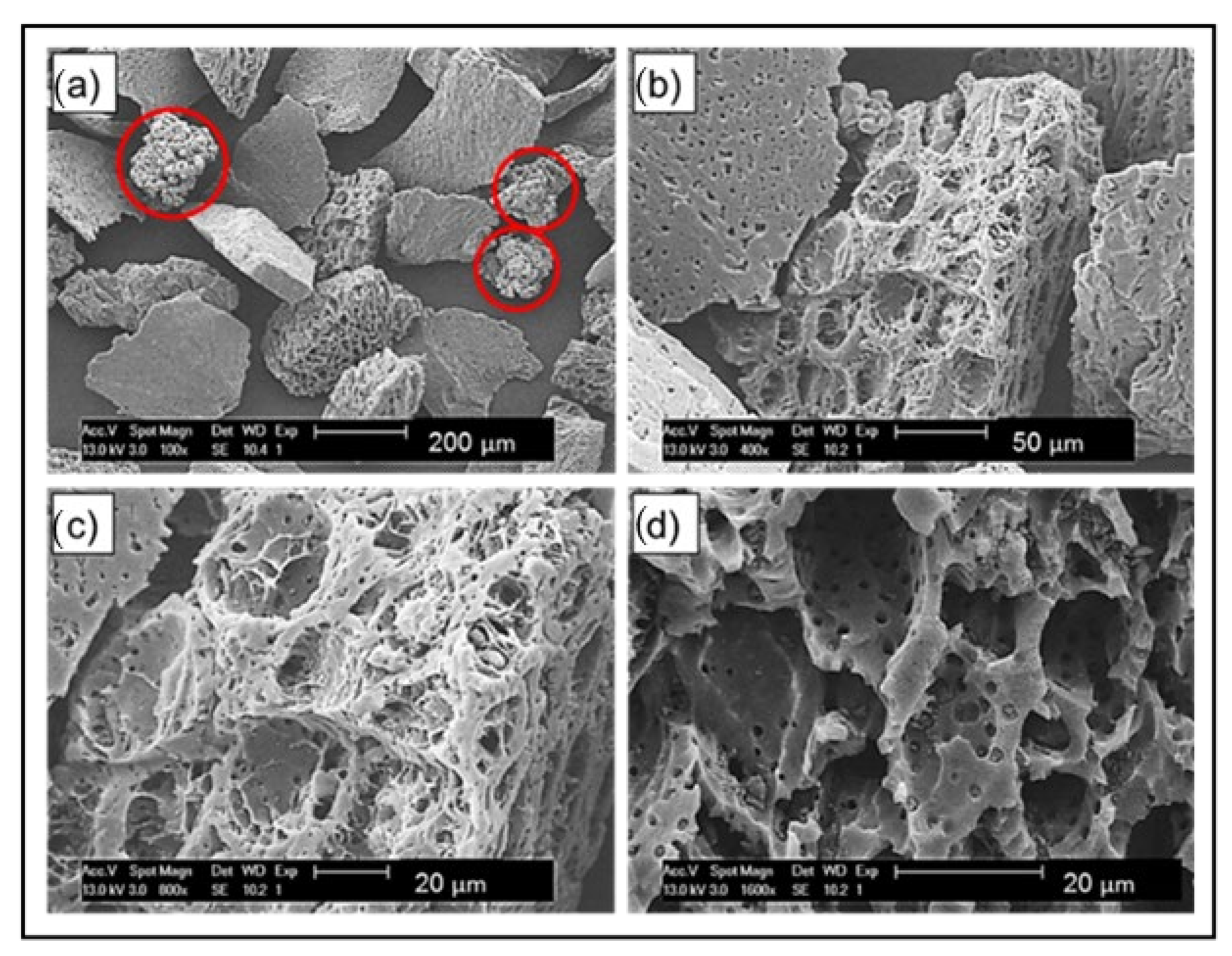 Polymers 14 03320 g002 Polymers 14 03320 g002