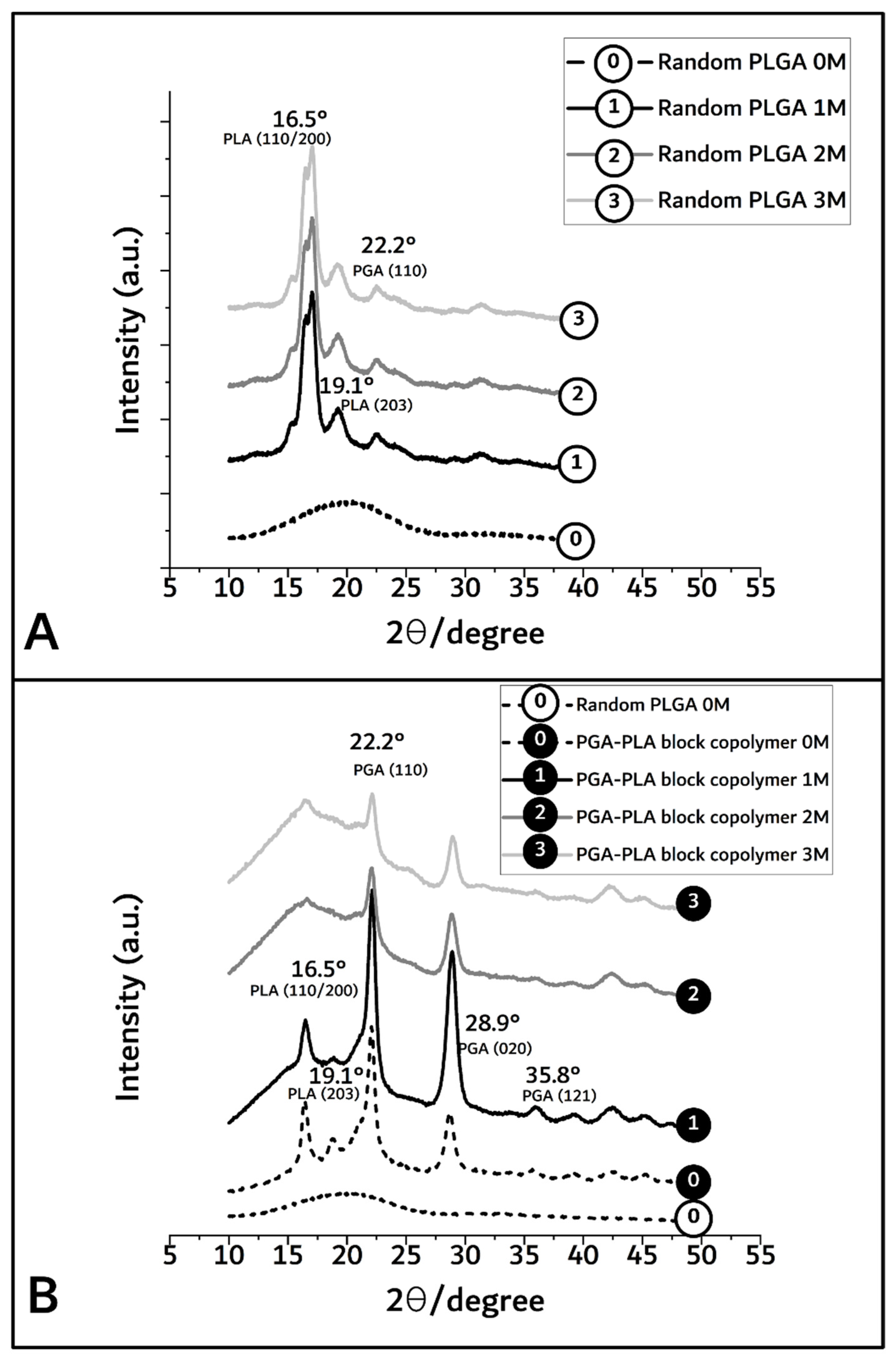 Polymers 14 03322 g005