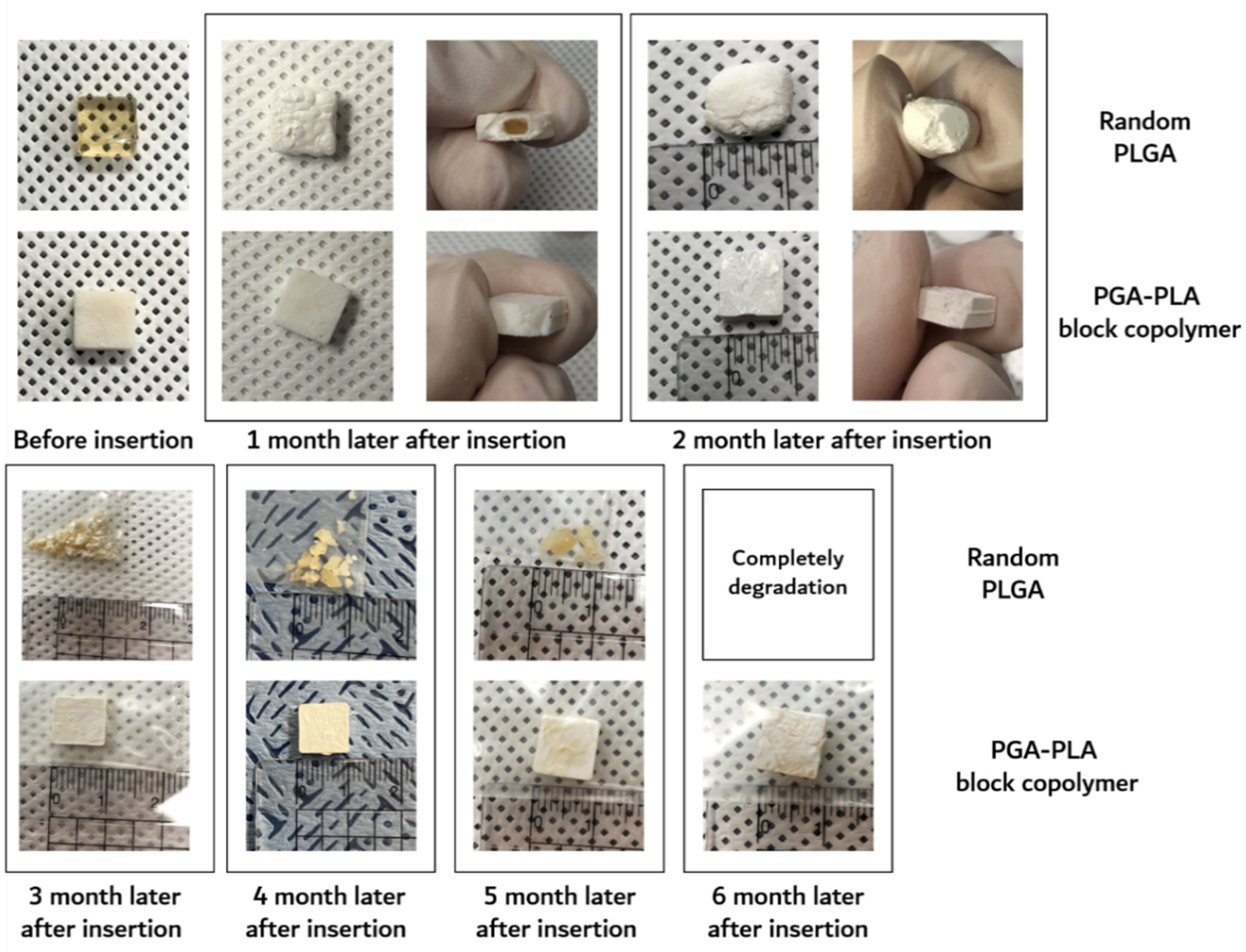 Polymers 14 03322 g007
