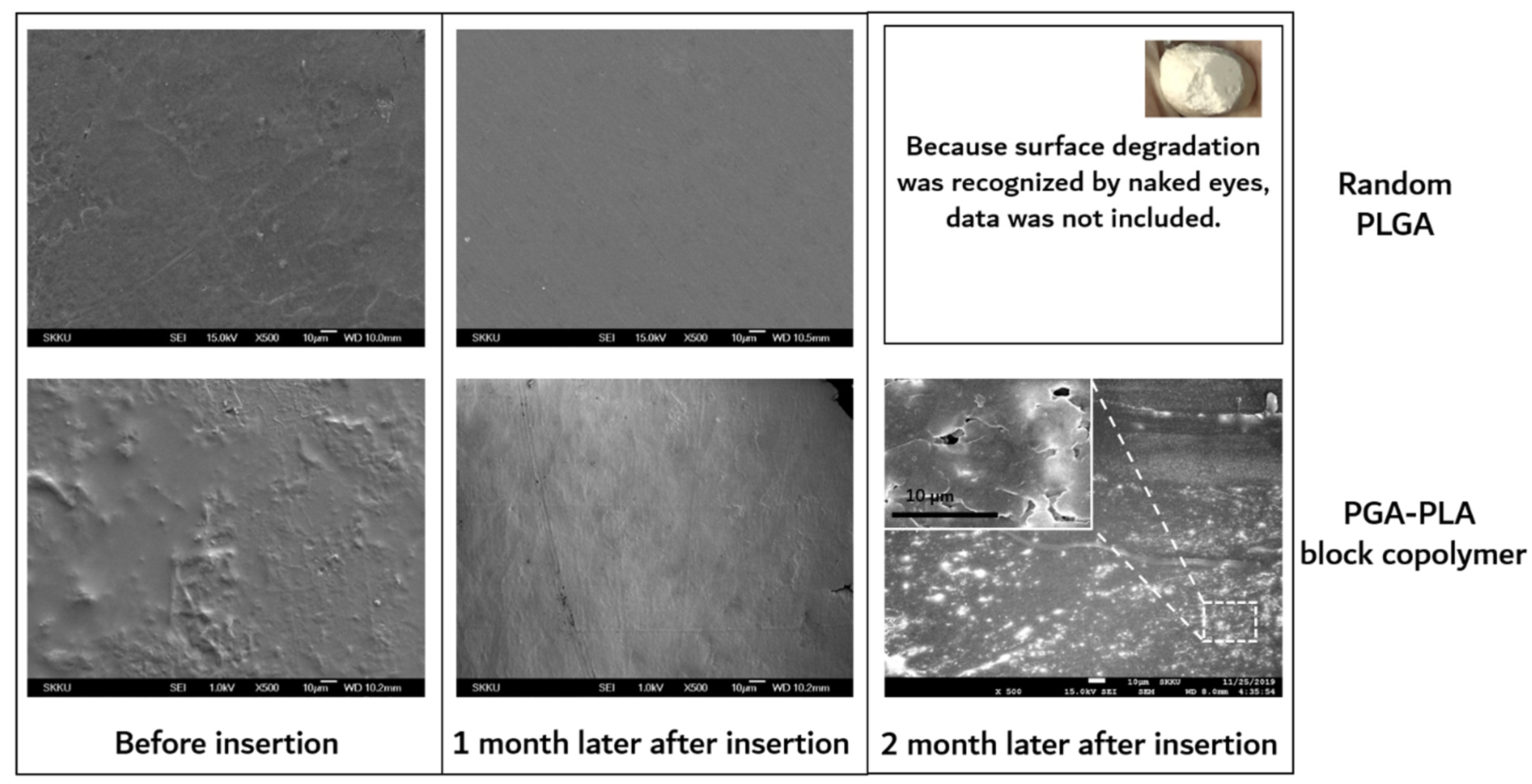 Polymers 14 03322 g009