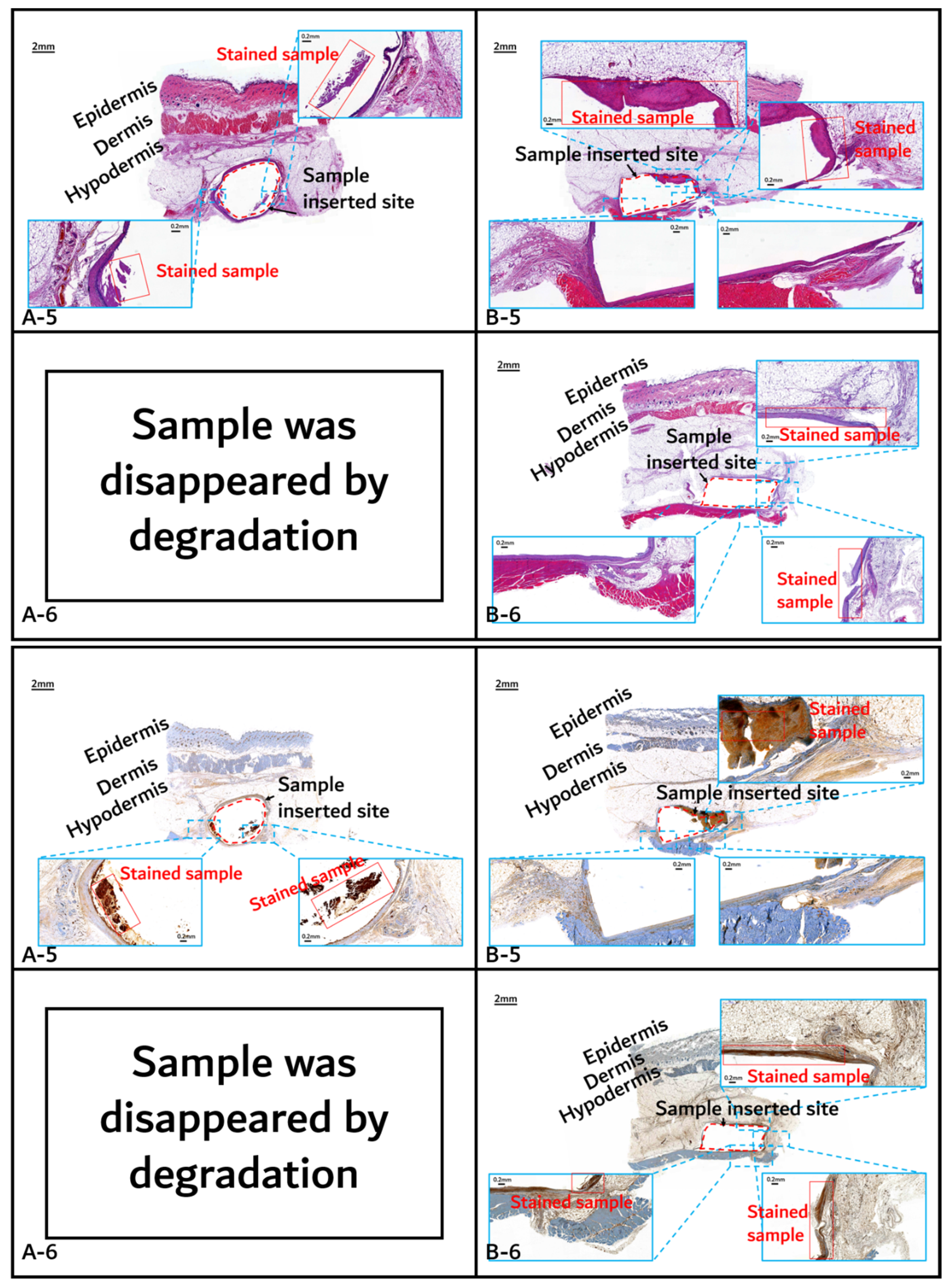 Polymers 14 03322 g013