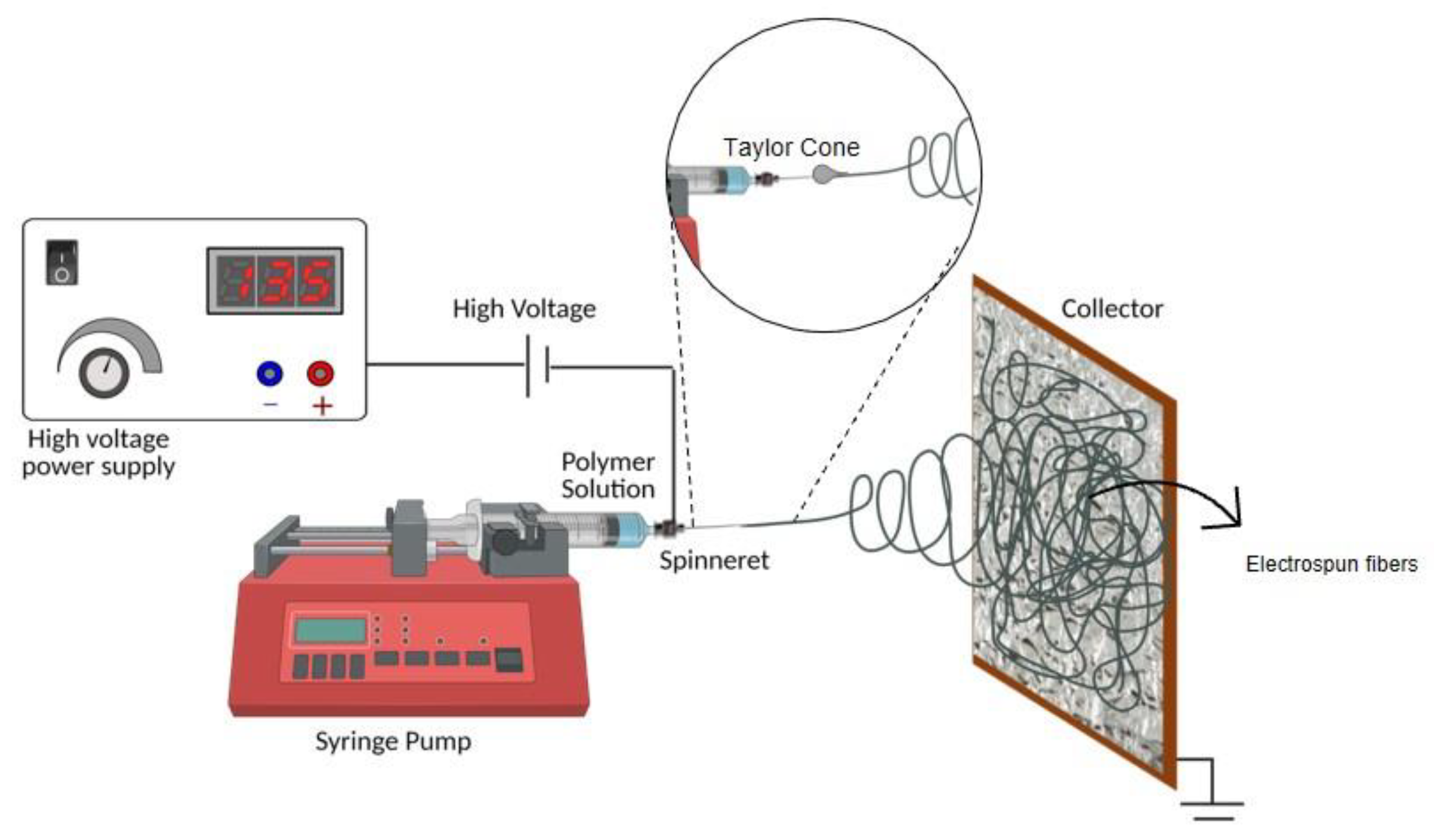 Polymers 14 03329 g002