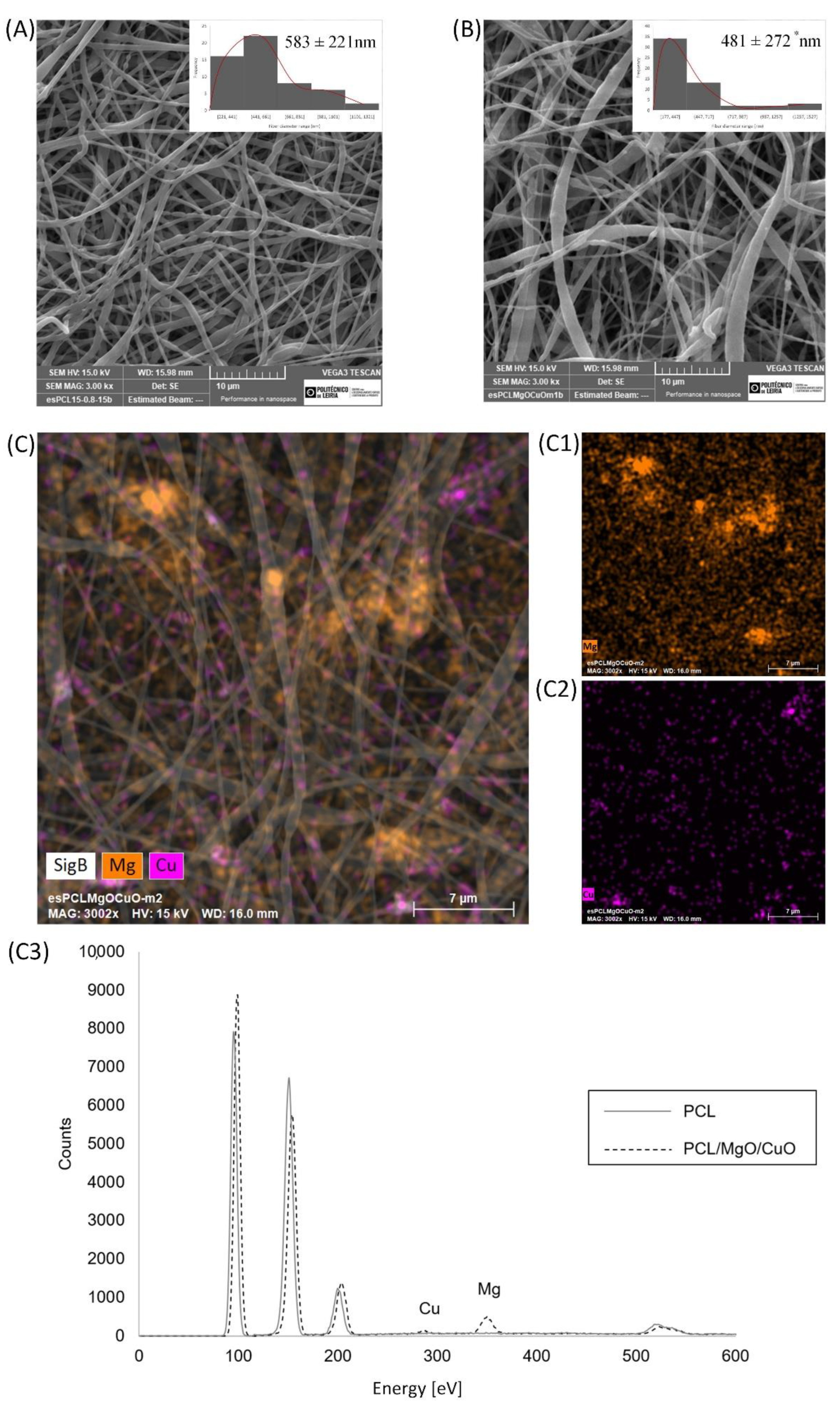 Polymers 14 03329 g004